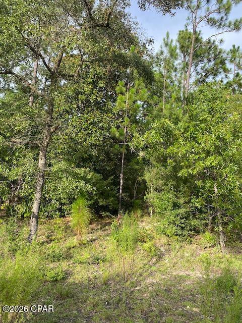 Nice lot in Compass Lake in the Hills.  Located in Northwest FL. Only 45 minutes to Panama City FL and the beautiful Gulf of Mexico.  Would make a lovely homesite.  It is wooded and on a well-maintained road.  Great investment potential.  The adjoining lot is available and would give you about two acres when combined.