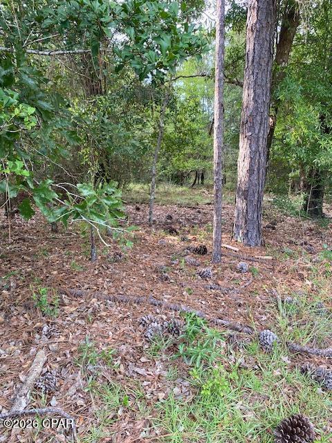 Compass Lake Hills Unit 6 - Land