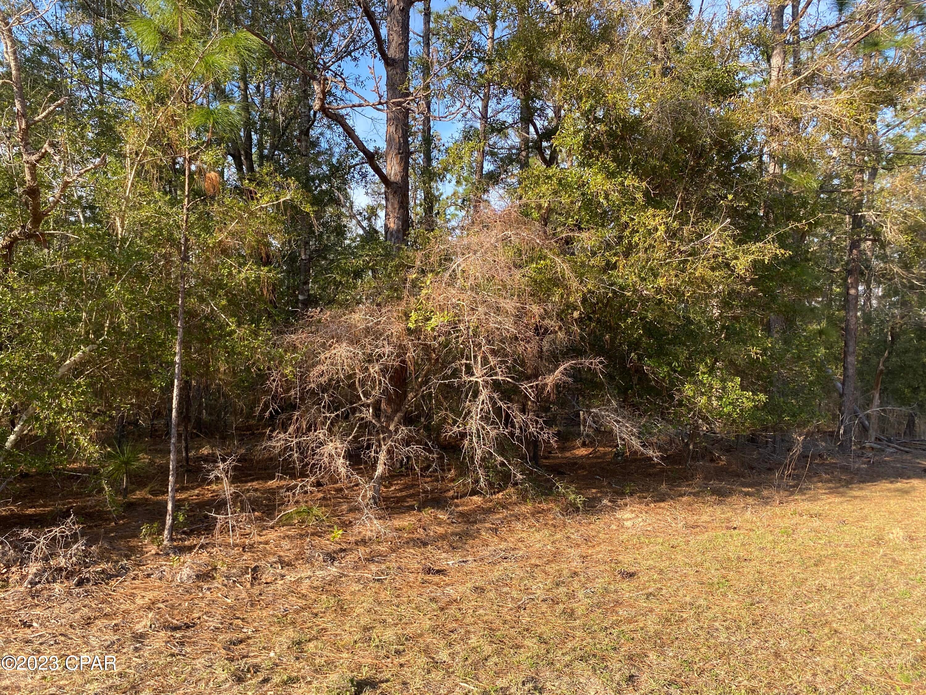 Compass Lake Hills Unit 6 - Land