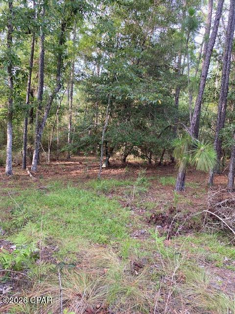 Compass Lake Hills Unit 6 - Land
