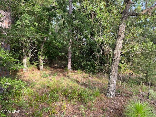 Compass Lake Hills Unit 6 - Land