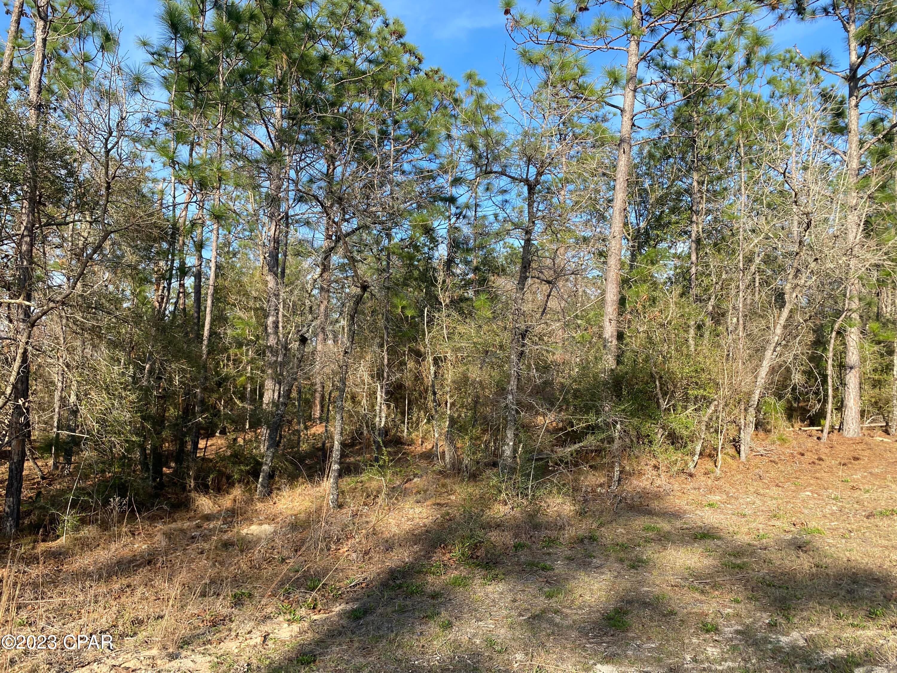 Compass Lake Hills Unit 6 - Land