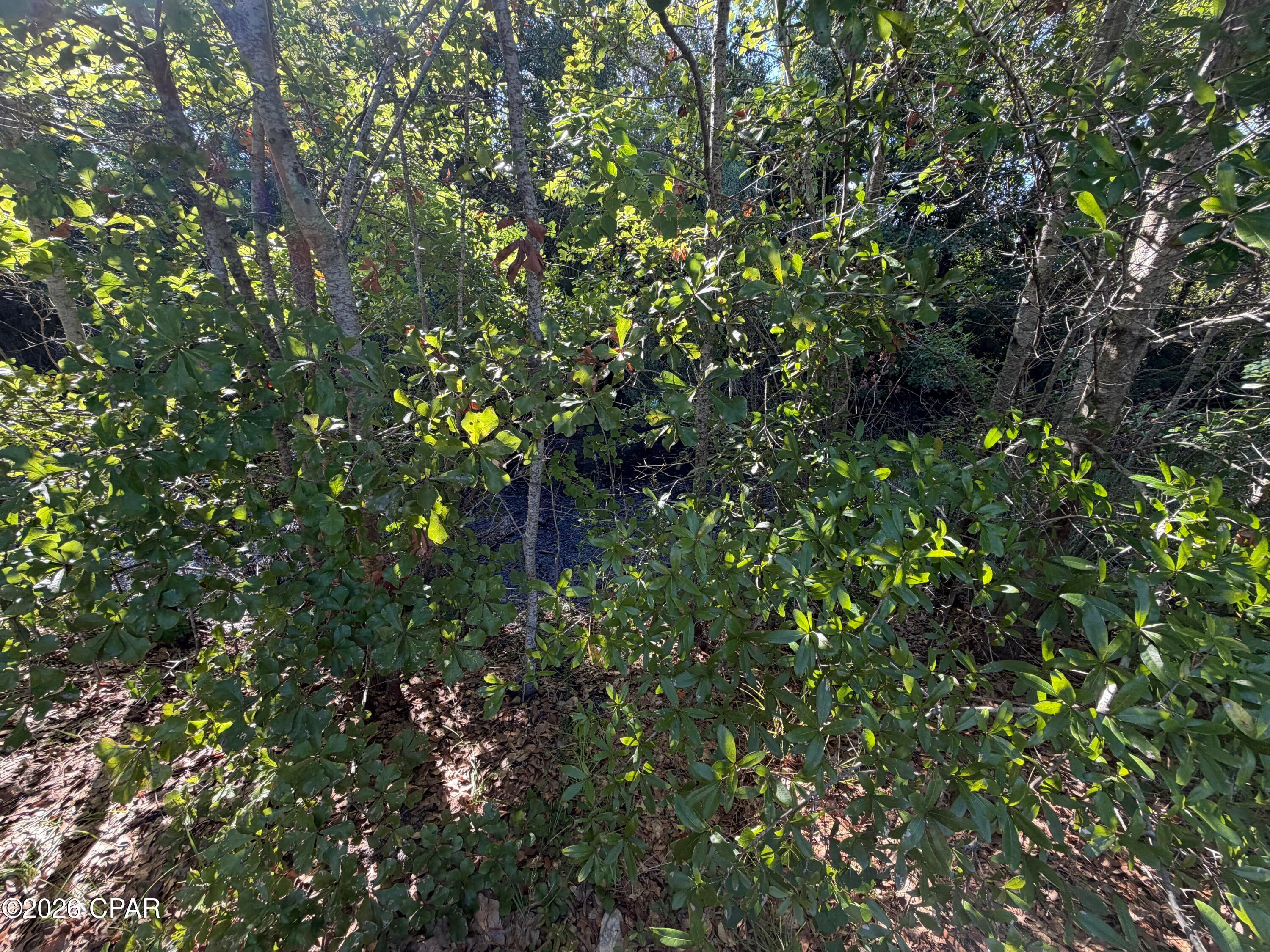 Baywood Shores Est Unit 6 - Residential