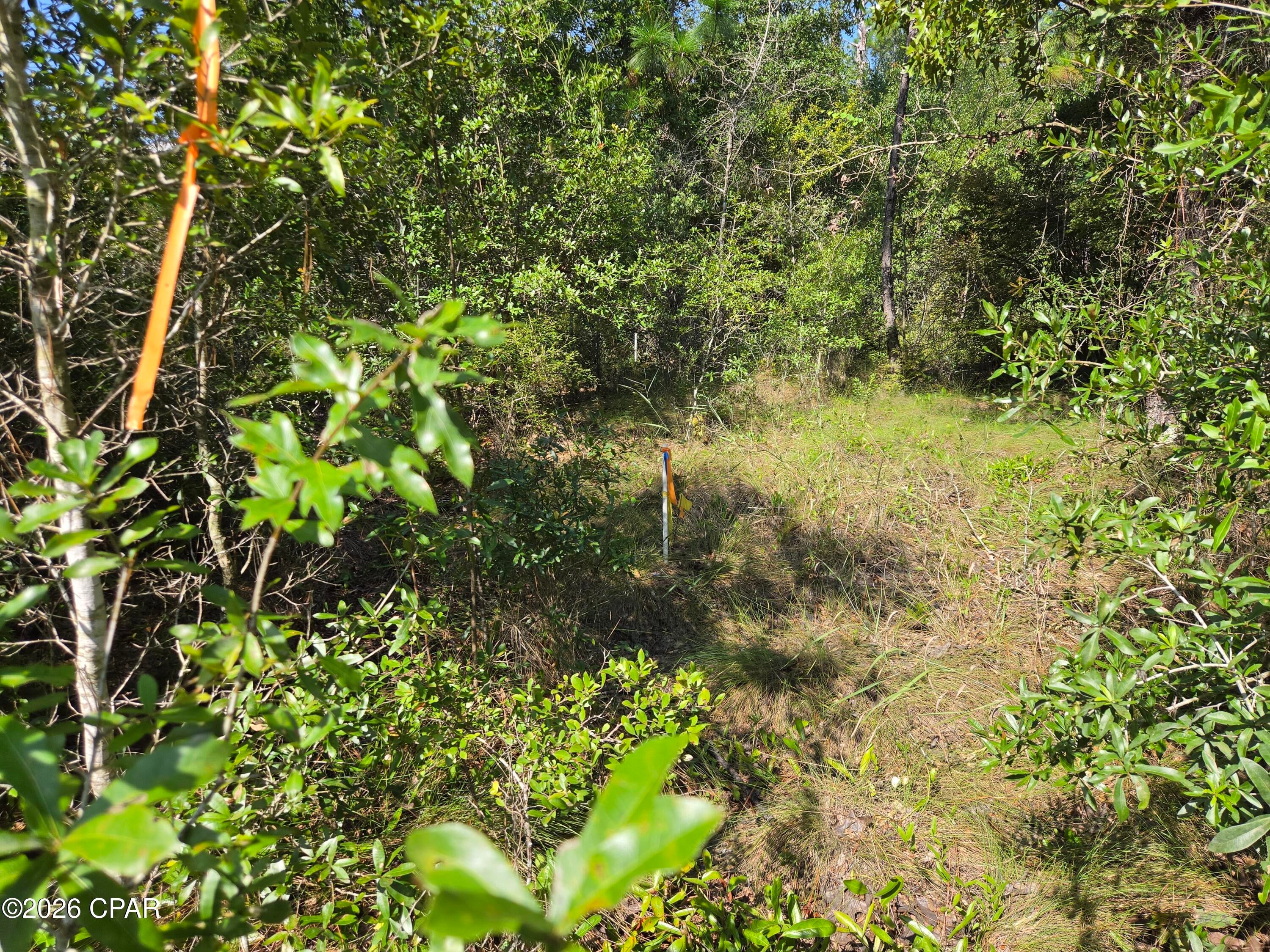Leisure Lakes 1st Add - Land