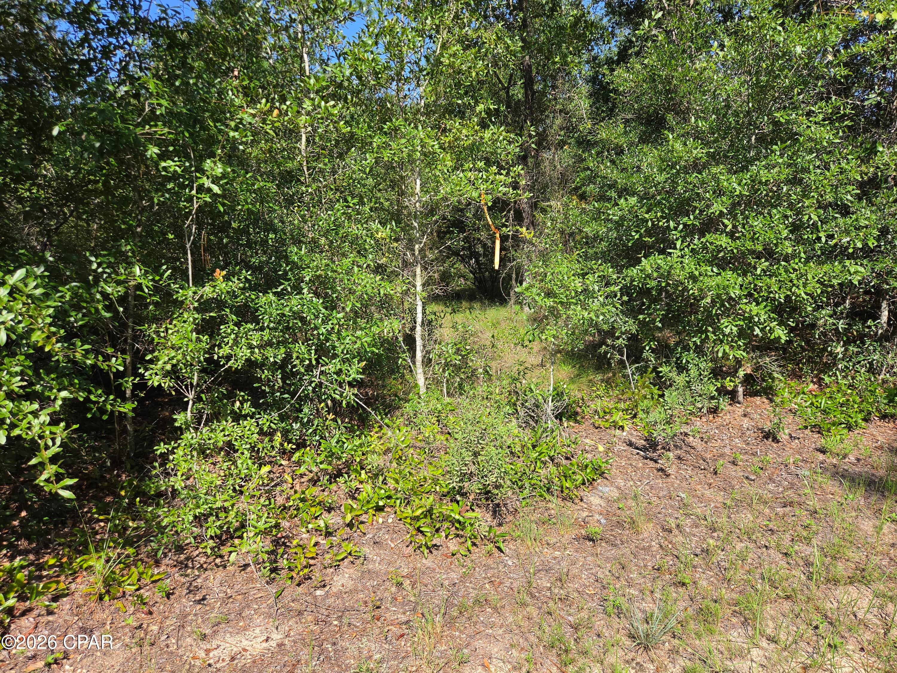 Leisure Lakes 1st Add - Land