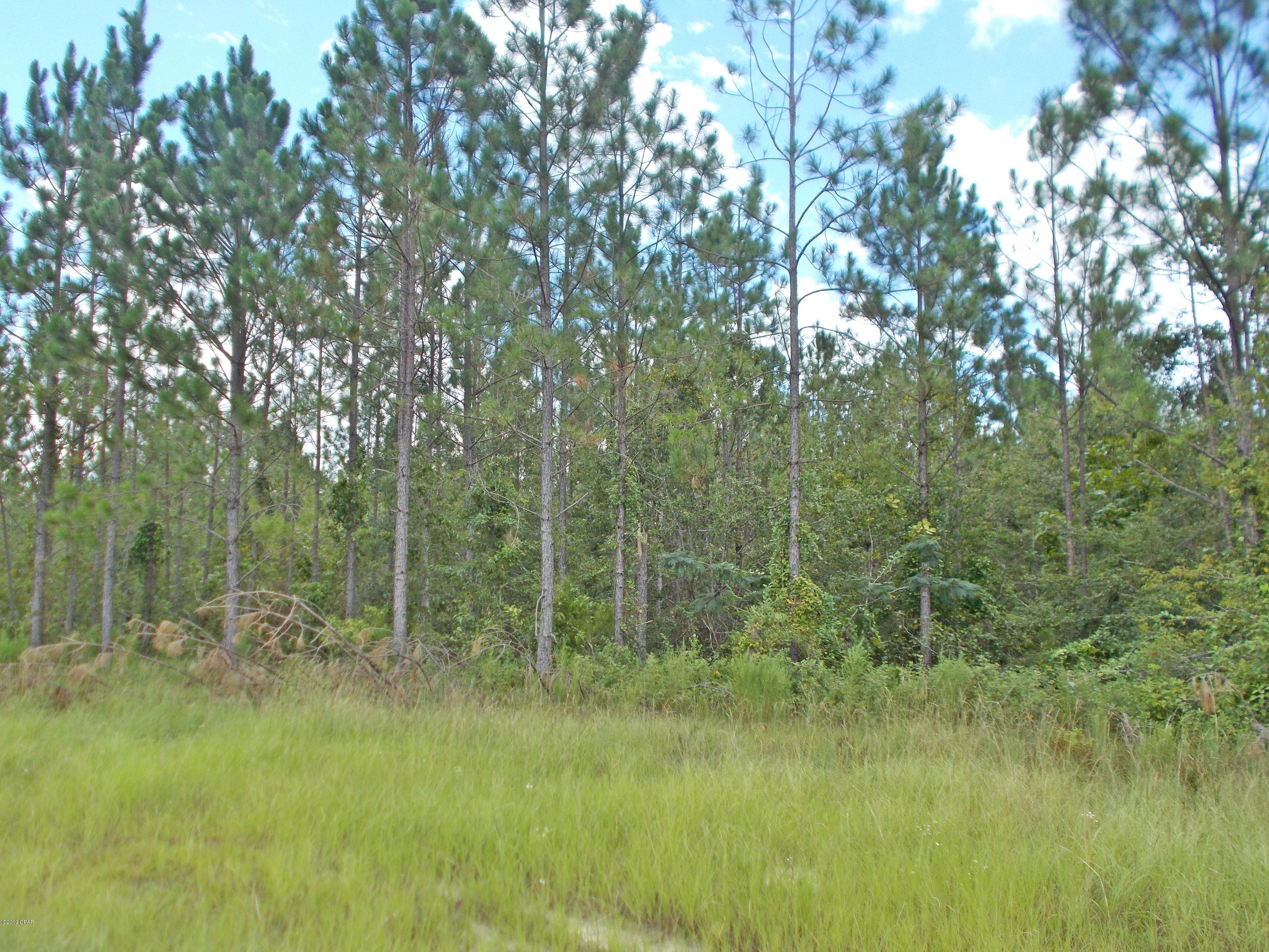 Beautiful wooded lot inside of the Blue Springs Plantation subdivision just minutes from downtown Marianna and the new Marianna school District, This lot is on a paved road and offers Public water or you can have your own private well. Underground utilities, Phone, Sewer. Nice new homes in the area.
