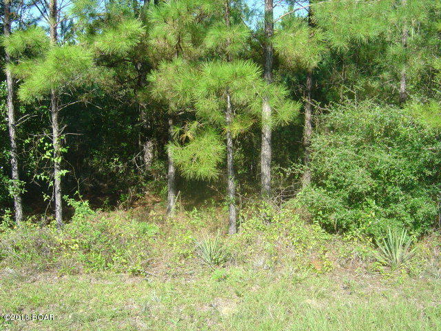 Great lot with all the amenities of Compass Lake in the Hills, Tennis Cts., swimming pool, cabins and more. Come see this special place!!!