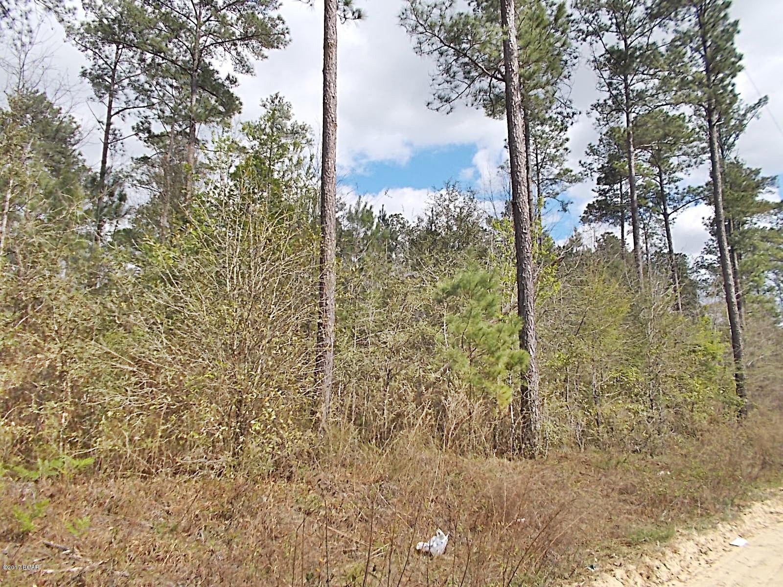 Very nice wooded parcel for building or a mobile home, very good hunting in this area also, there  is a 12 ac parcel beside this one that has the same owner for sale both would make a nice 24 ac parcel.