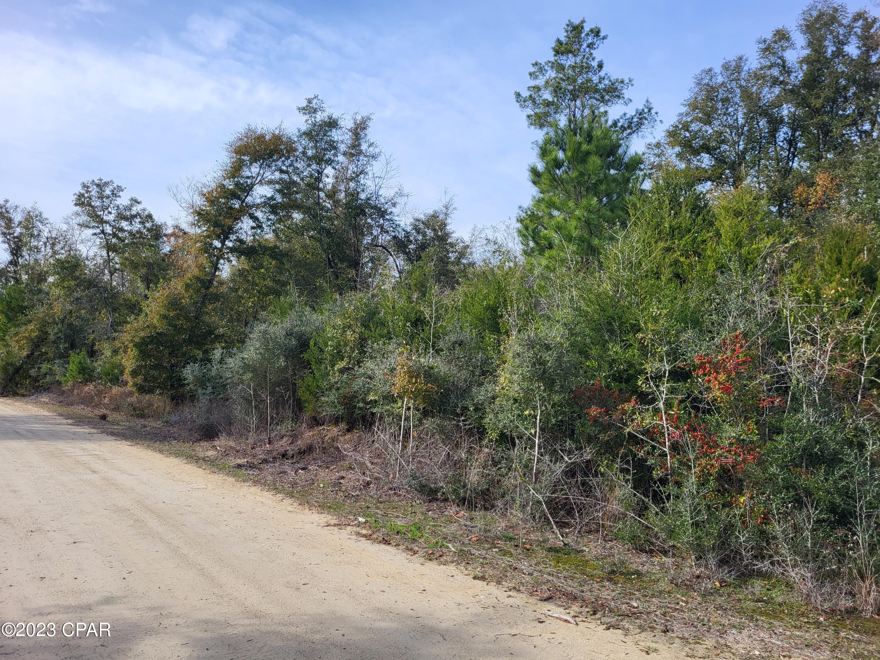 White Pond Plantation - Land
