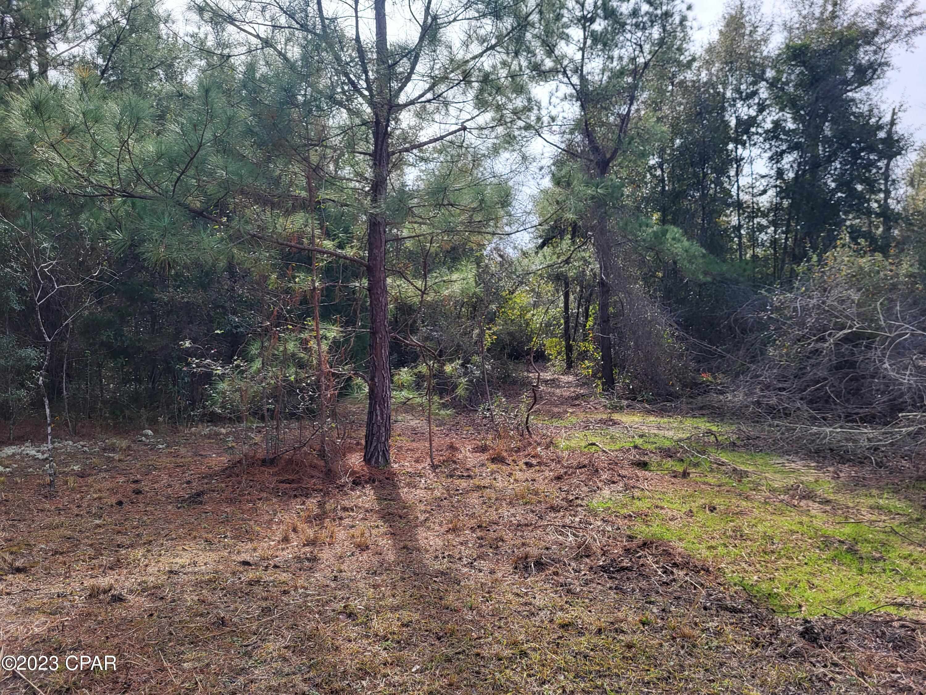 White Pond Plantation - Land
