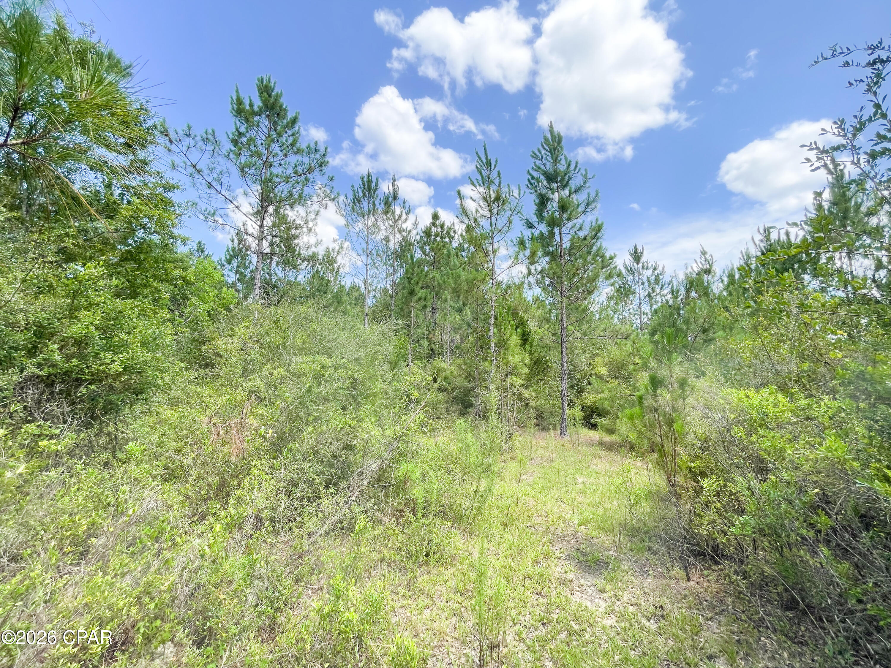 Pine Ridge Estates - Land