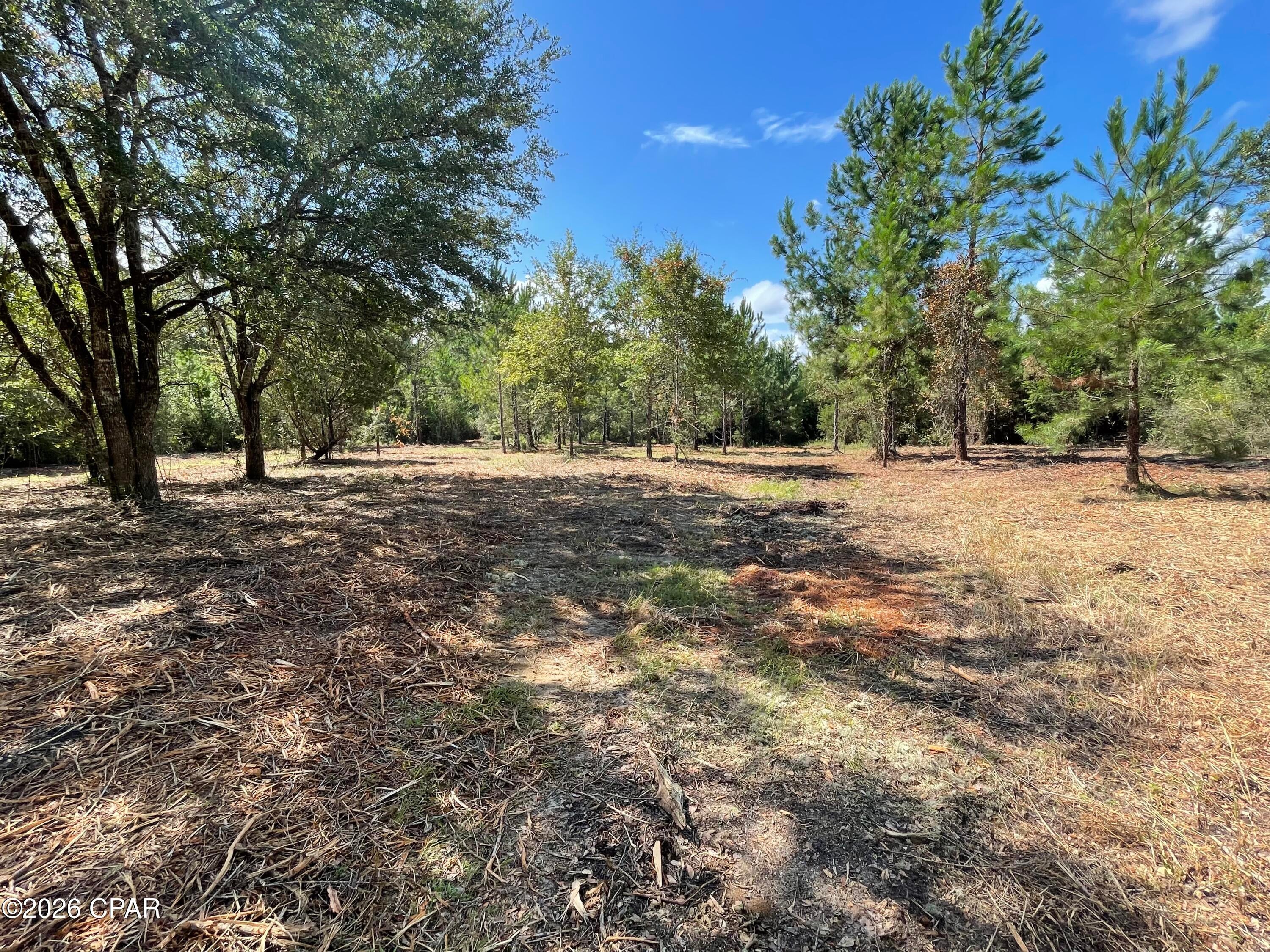 Pine Ridge Estates - Land