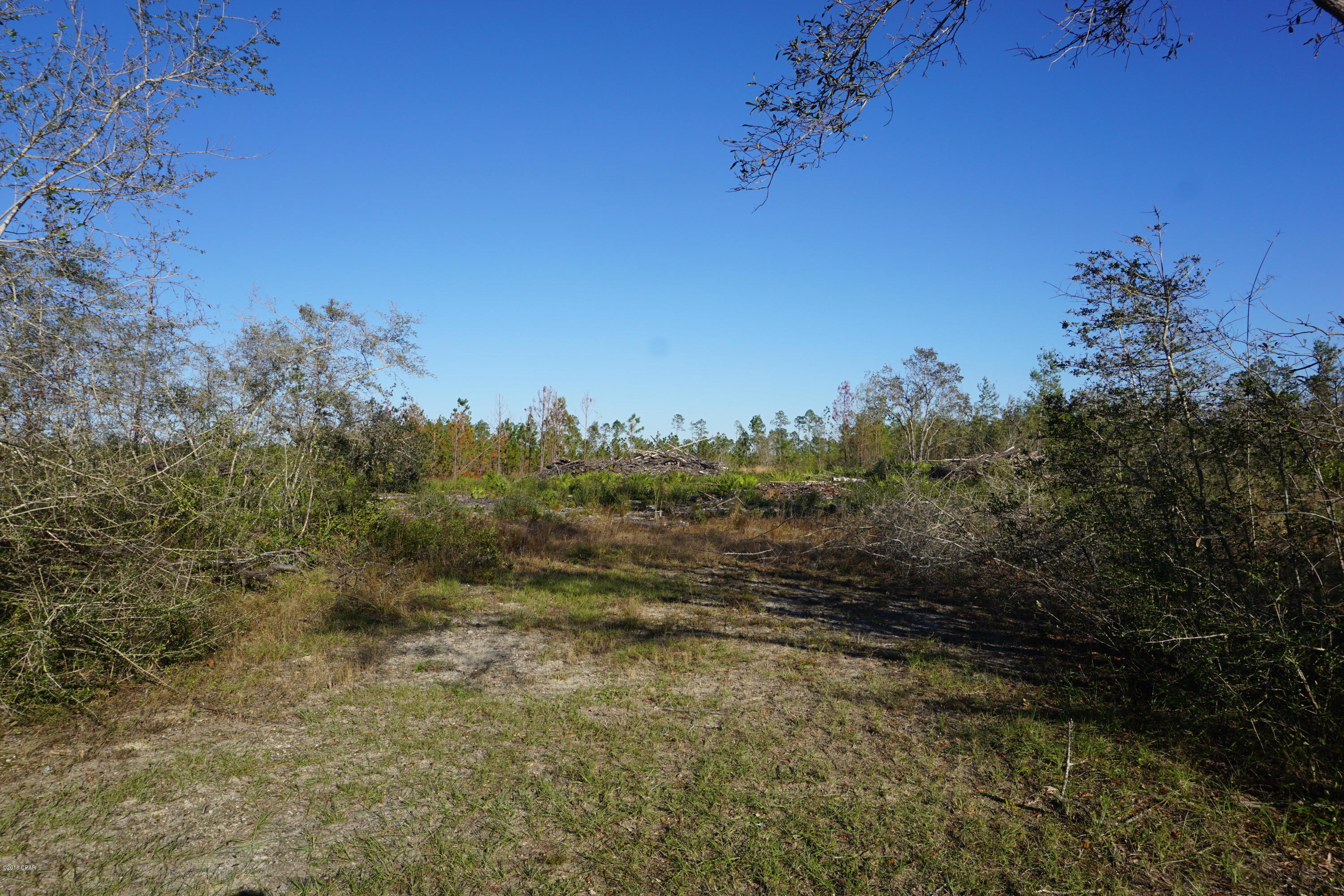 Beautiful 31.54+/- acre tract on a nicely maintained dirt road in Calhoun County. This property has been mostly cleared and with a little additional clean up would be ready to build your home on or place a mobile home. No restrictions. Bring your animals and enjoy this peaceful setting. Plenty of space for recreation as well.