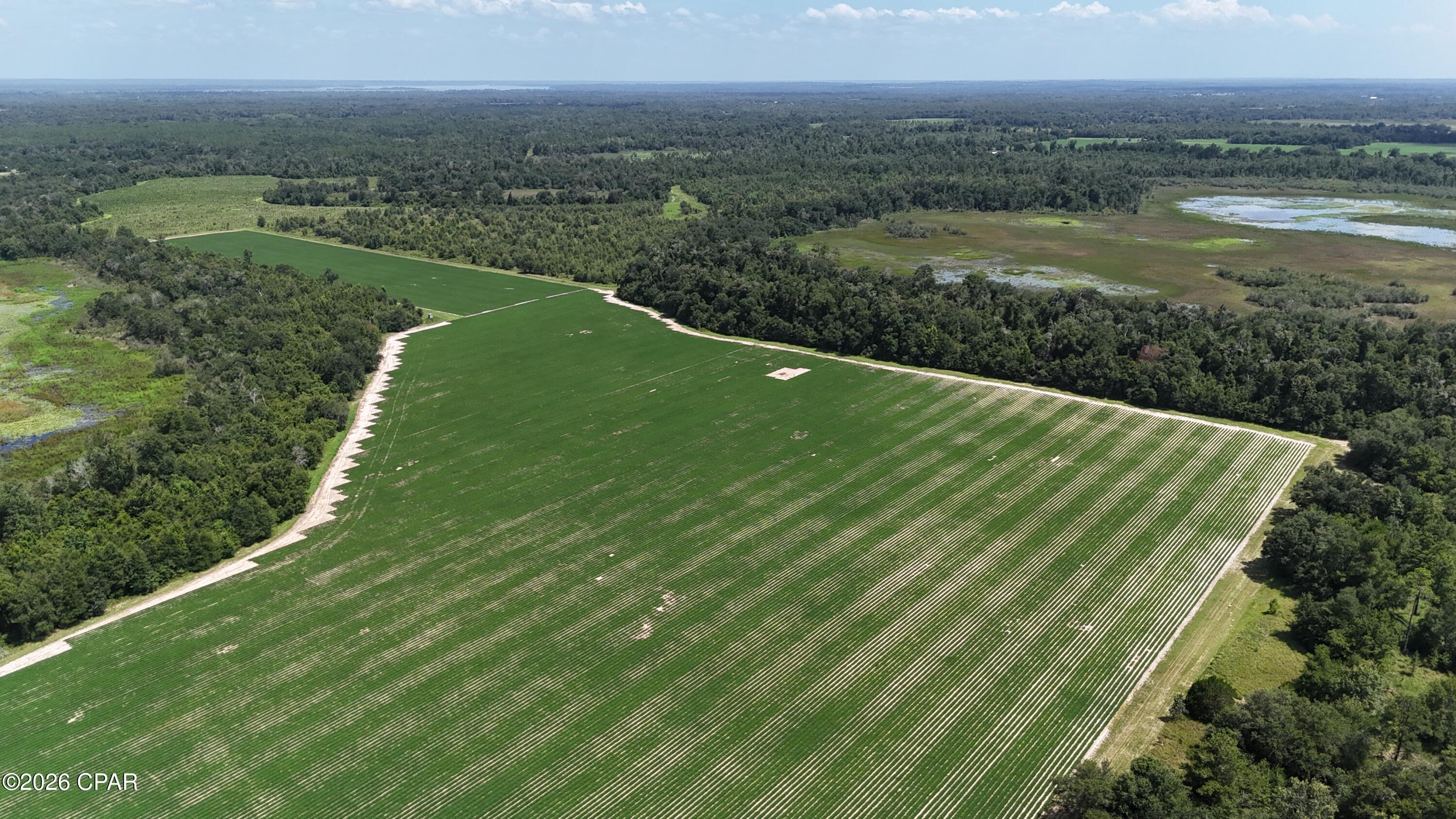 41 acres in Jackson County offering a rare combination of income and recreation. Approximately 29-30 acres are in productive row crop, with the balance in cover and frontage on Long Pond. Heavy wildlife activity throughout -- deer, turkey, and duck -- with abundant sign across the property. Access is secured by a 26.5' wide legal easement off Long Pond Rd, and a current survey is complete, giving buyers clarity on boundaries and access from day one. Whether you're looking to farm it, hunt it, hold it as an investment, or build a homesite overlooking the water, this tract offers flexibility that's hard to find at this size. Rural setting with convenient access to Marianna and the surrounding 850. Call today to schedule your private showing.
