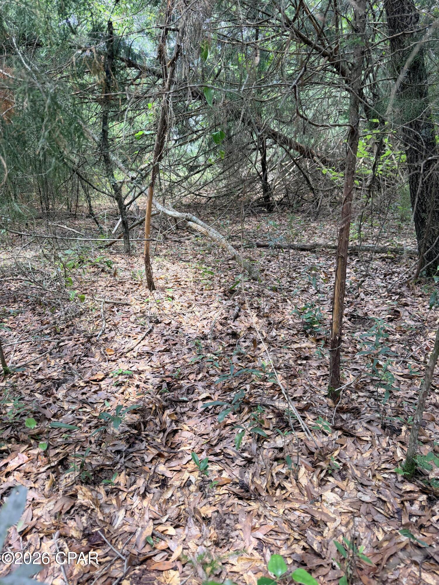 [No Recorded Subdiv] - Land