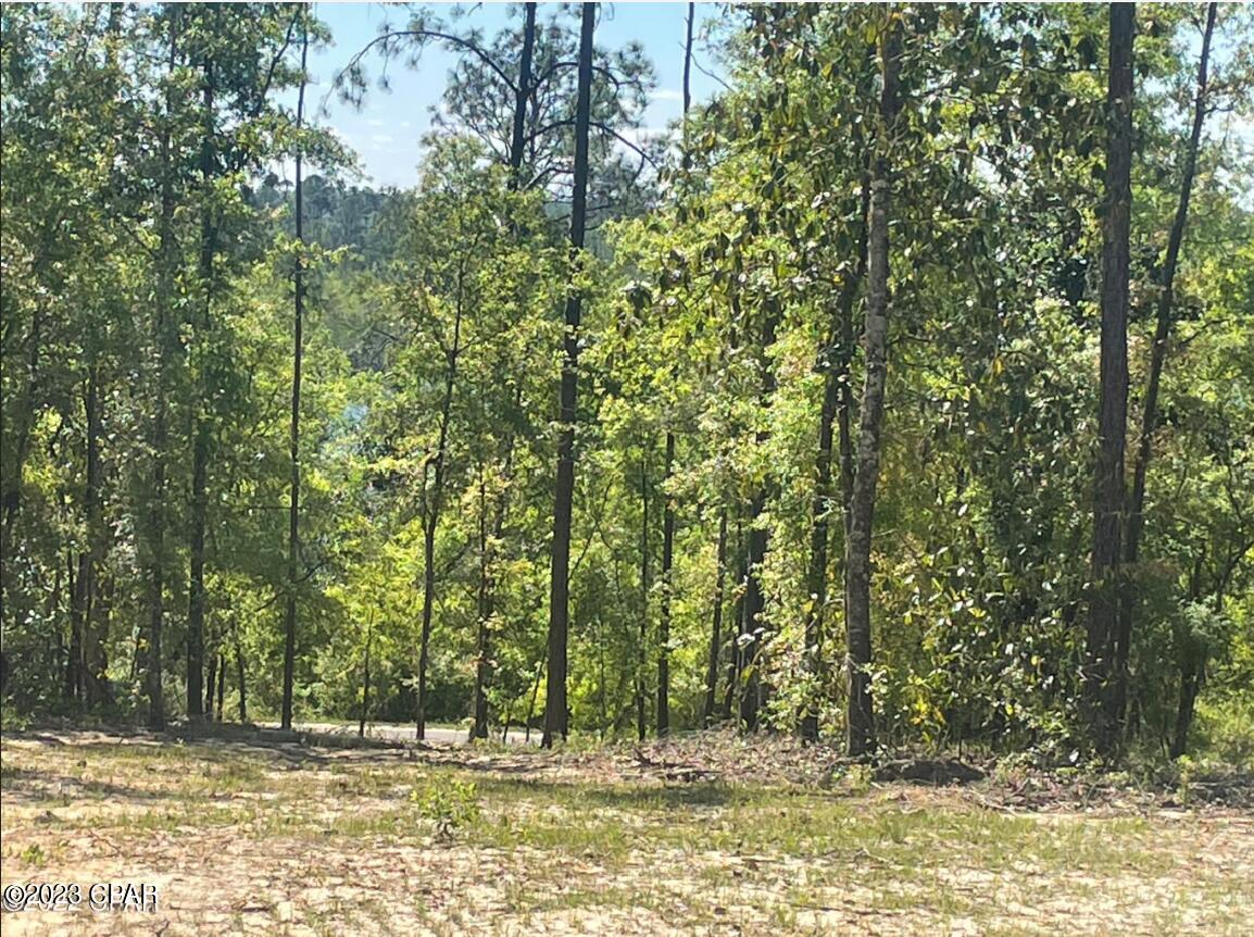 Compass Lake Hills Unit 5 - Land