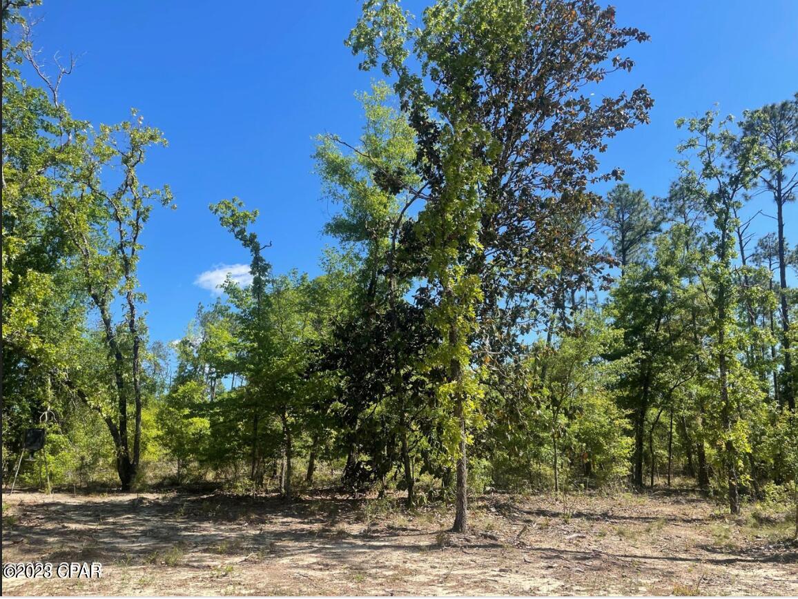 Compass Lake Hills Unit 5 - Land