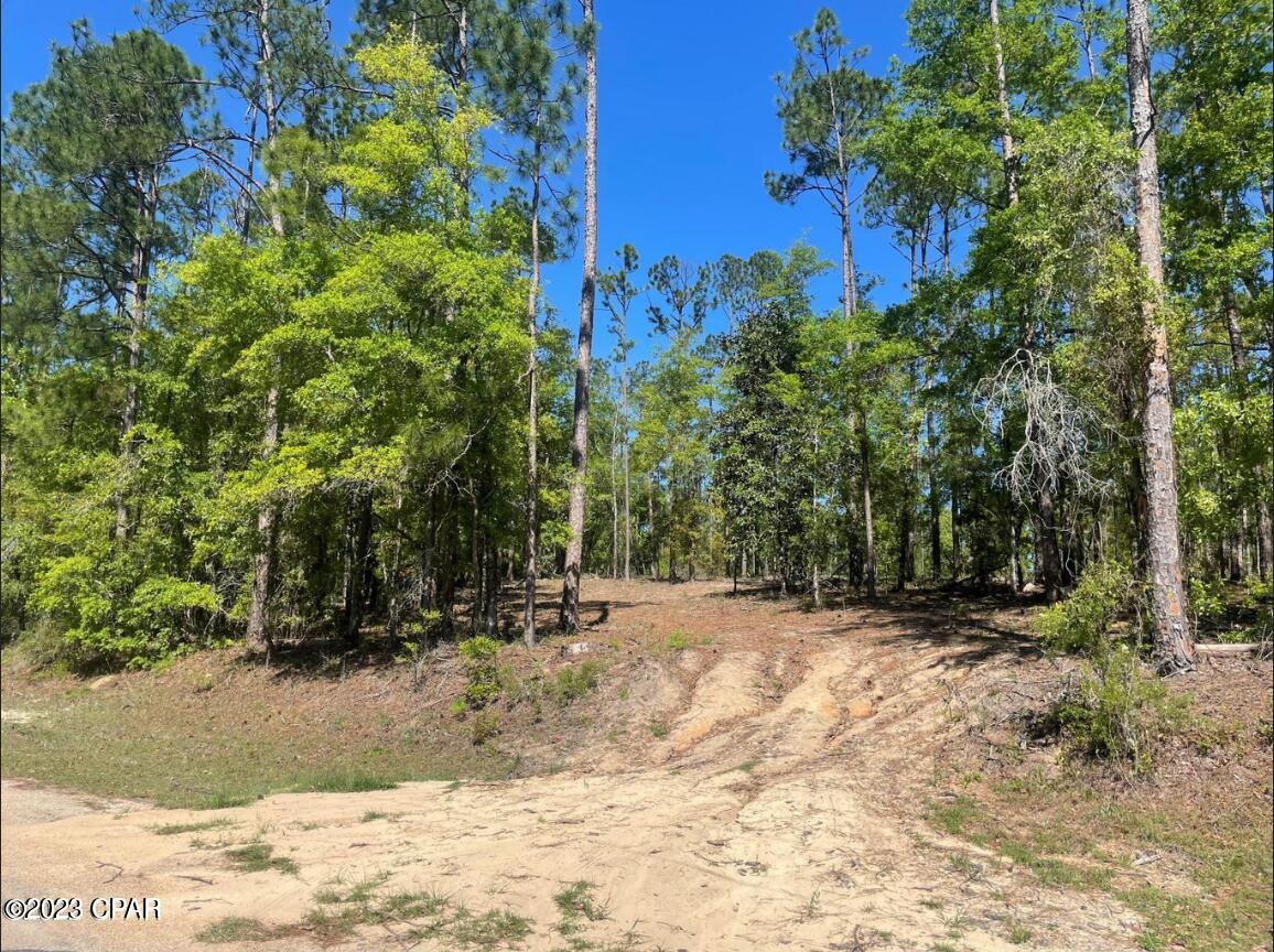 Compass Lake Hills Unit 5 - Land