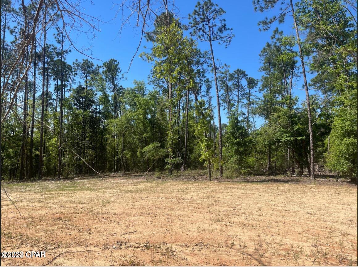 Compass Lake Hills Unit 5 - Land