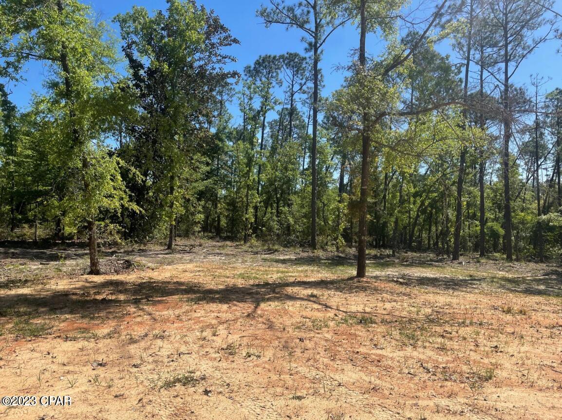 Compass Lake Hills Unit 5 - Land