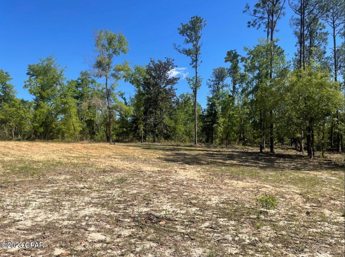 Compass Lake Hills Unit 5 - Land