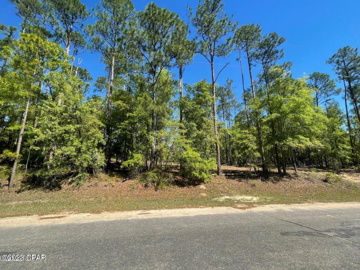 Don't miss an opportunity to own a lot across the street from the beautiful McCormick Lake! This 1.1 acre lot has had a homesite cleared and is ready to be built on. If you are looking for privacy in a nice and quiet location, this lot is for you! McCormick Lake can be seen from the property. This lot is located in Compass Lake in the Hills so there are amenities that the owners are able to enjoy that includes a clubhouse, boat ramp and beach area on McCormick Lake and a pool at Compass Lake's clubhouse!