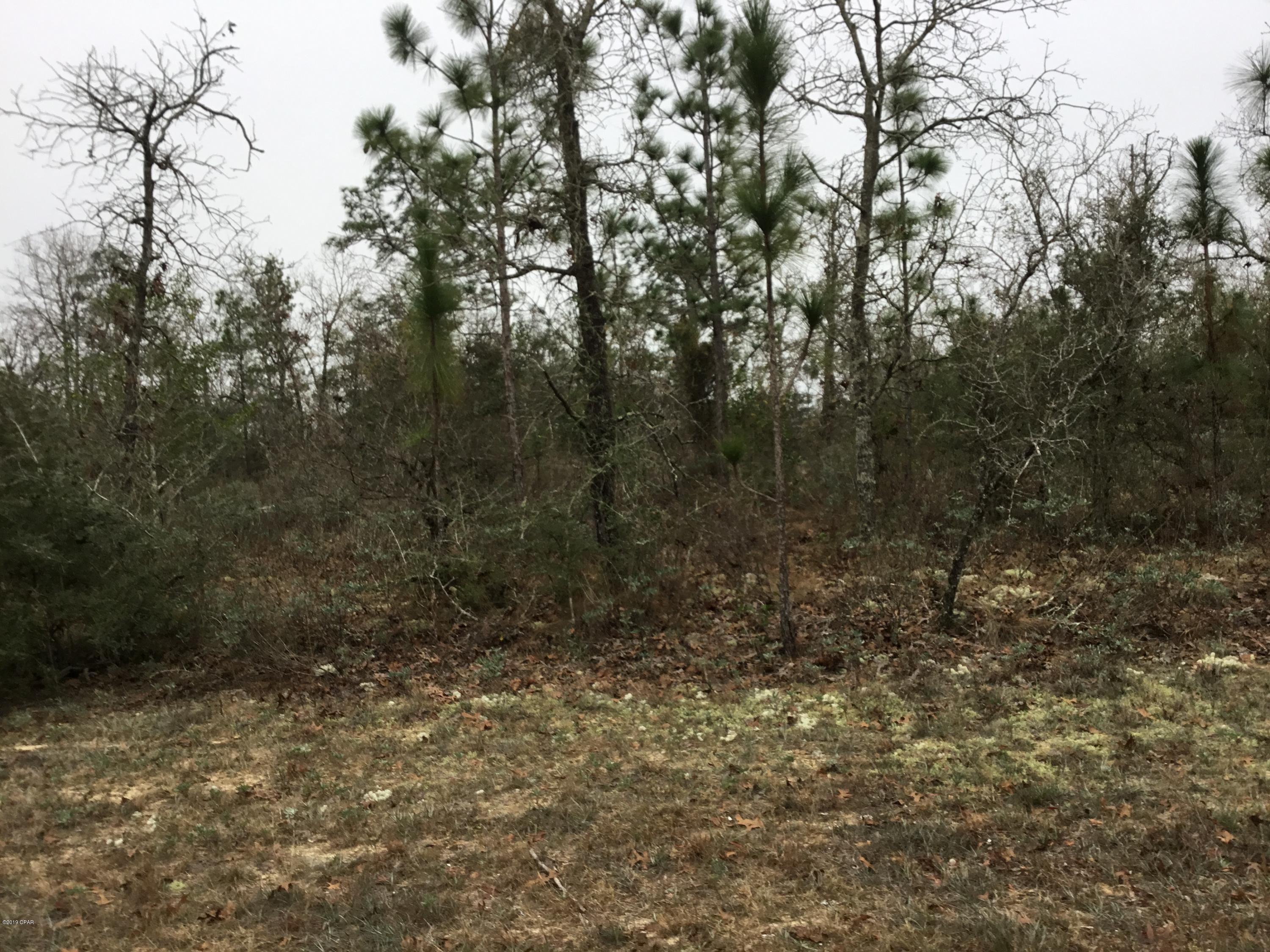 2  lots in South Washington County that backs up to Water Management Area. Great building lots with lots of privacy and no houses close to you. Not wanting to build , great to come and hunt Water Management land and stay on your own property. Love this area in Sunnyhills , very peaceful. Site built homes only , no pole barns or trailers allowed .MSBU fee applies to both lots,so that would be 32.00 a year for each lot.That fee is in with your tax bill each year.Lots 16 and 17.
