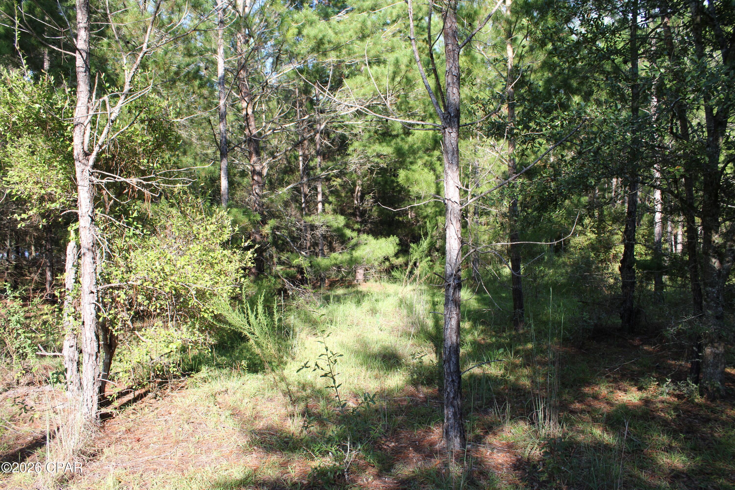 Highlands At Compass Lake - Land