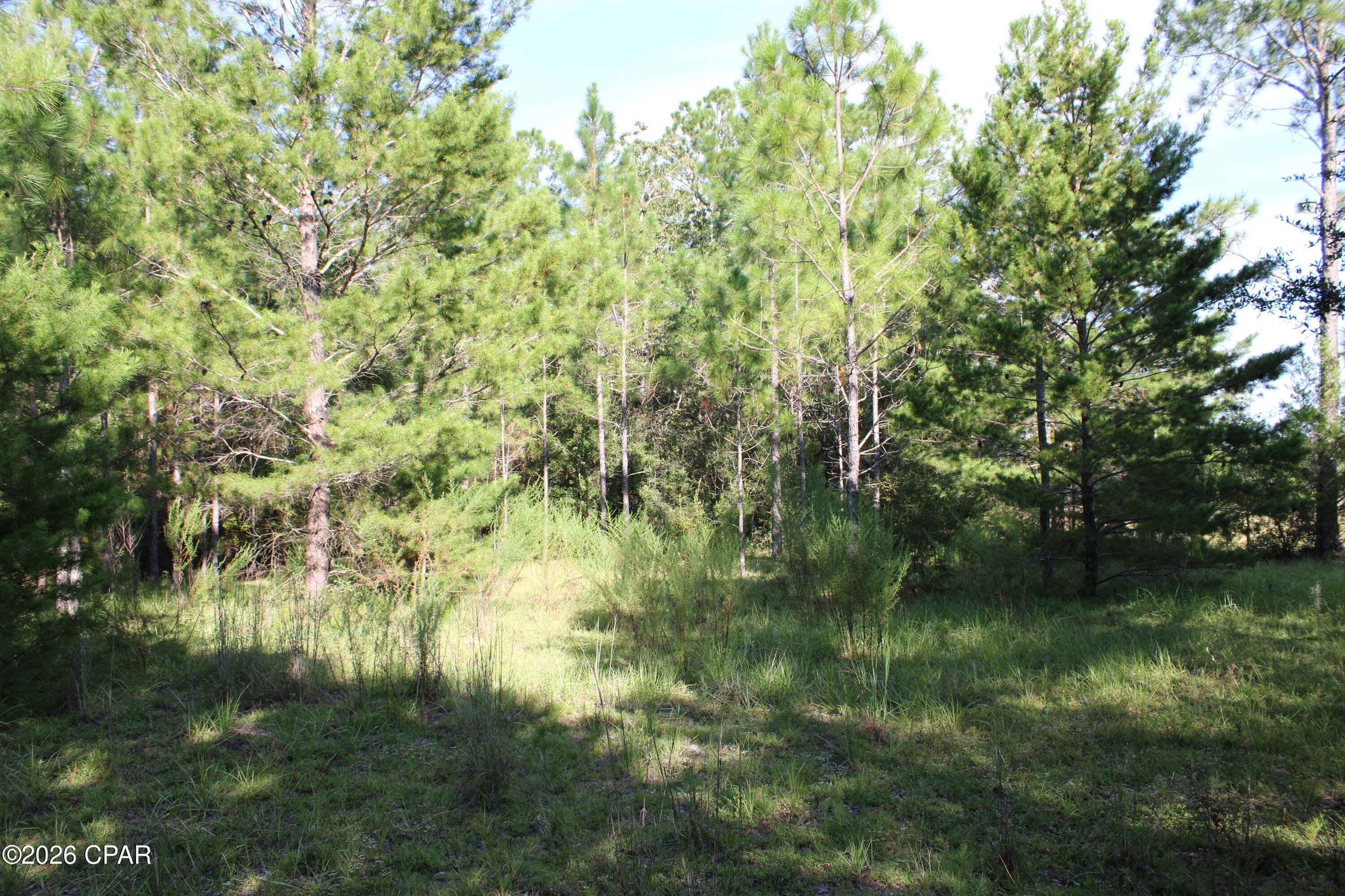 Highlands At Compass Lake - Land