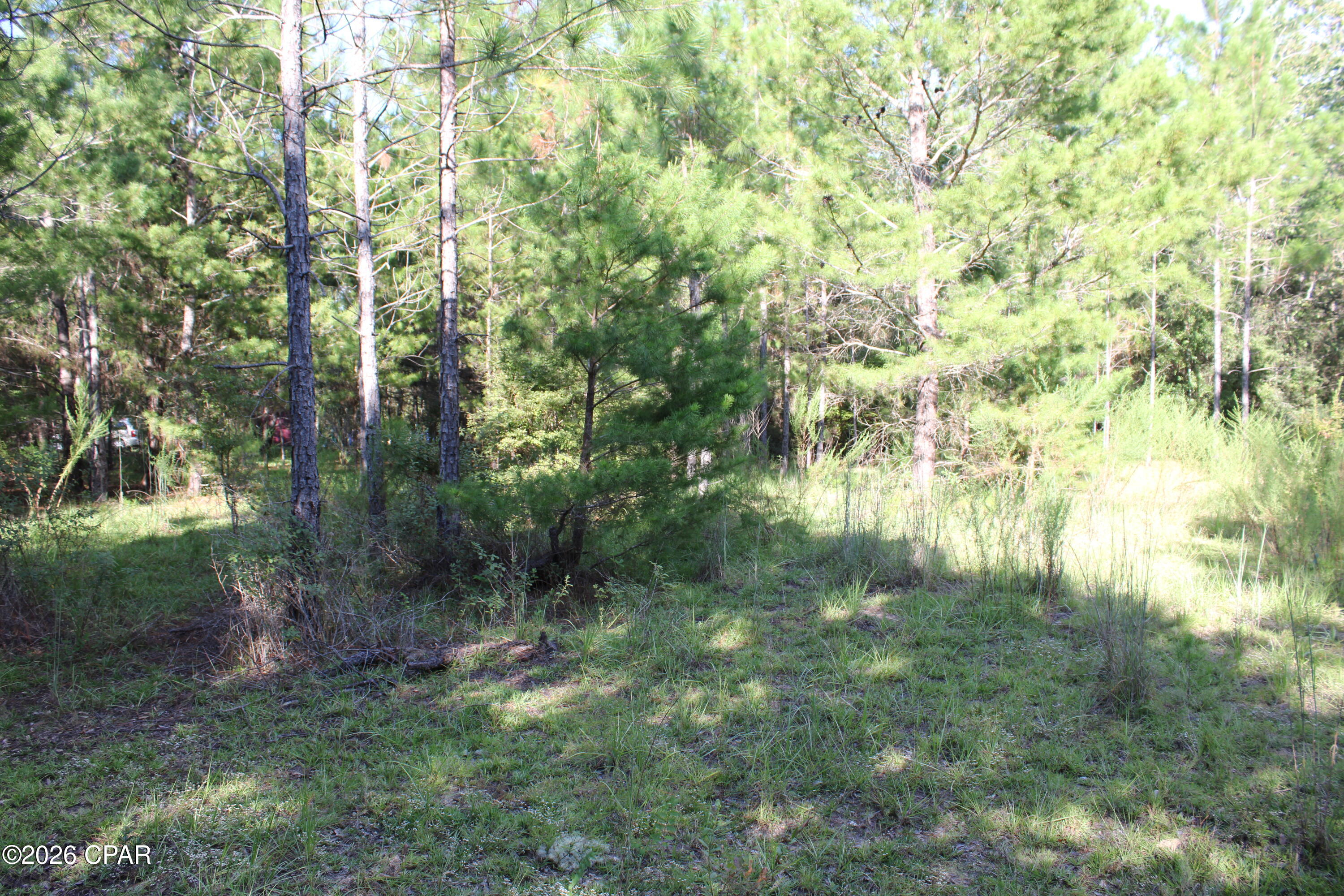 Highlands At Compass Lake - Land