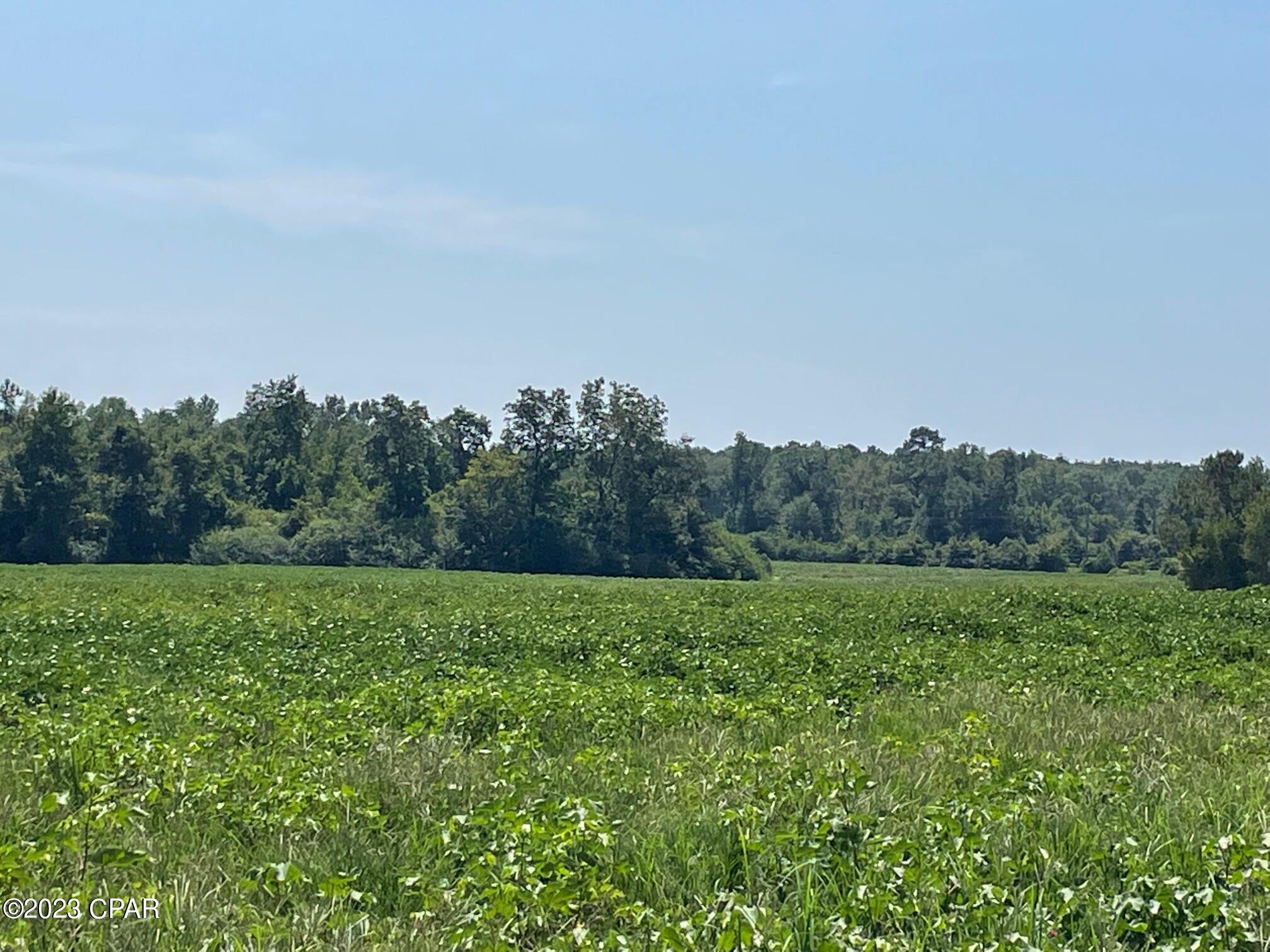 'CURRENTLY UNDER CONTRACT, SELLER ACCEPTING BACKUP OFFERS' 10.55 Acres on paved street. The land is mostly open and currently planted in Cotton, farmer's lease and right to harvest the cotton will be honored, should be completed by November. The land has a slight roll towards the very back that has a small low area that offers trees, shade and possibly water for wild life or livestock. Located very close to Water Management Area with great hunting. Numerous arrow heads and other Indian history has been found on this property after field was plowed. No restrictions. Mobile homes welcome along with farm animals. Very quiet and peaceful living.