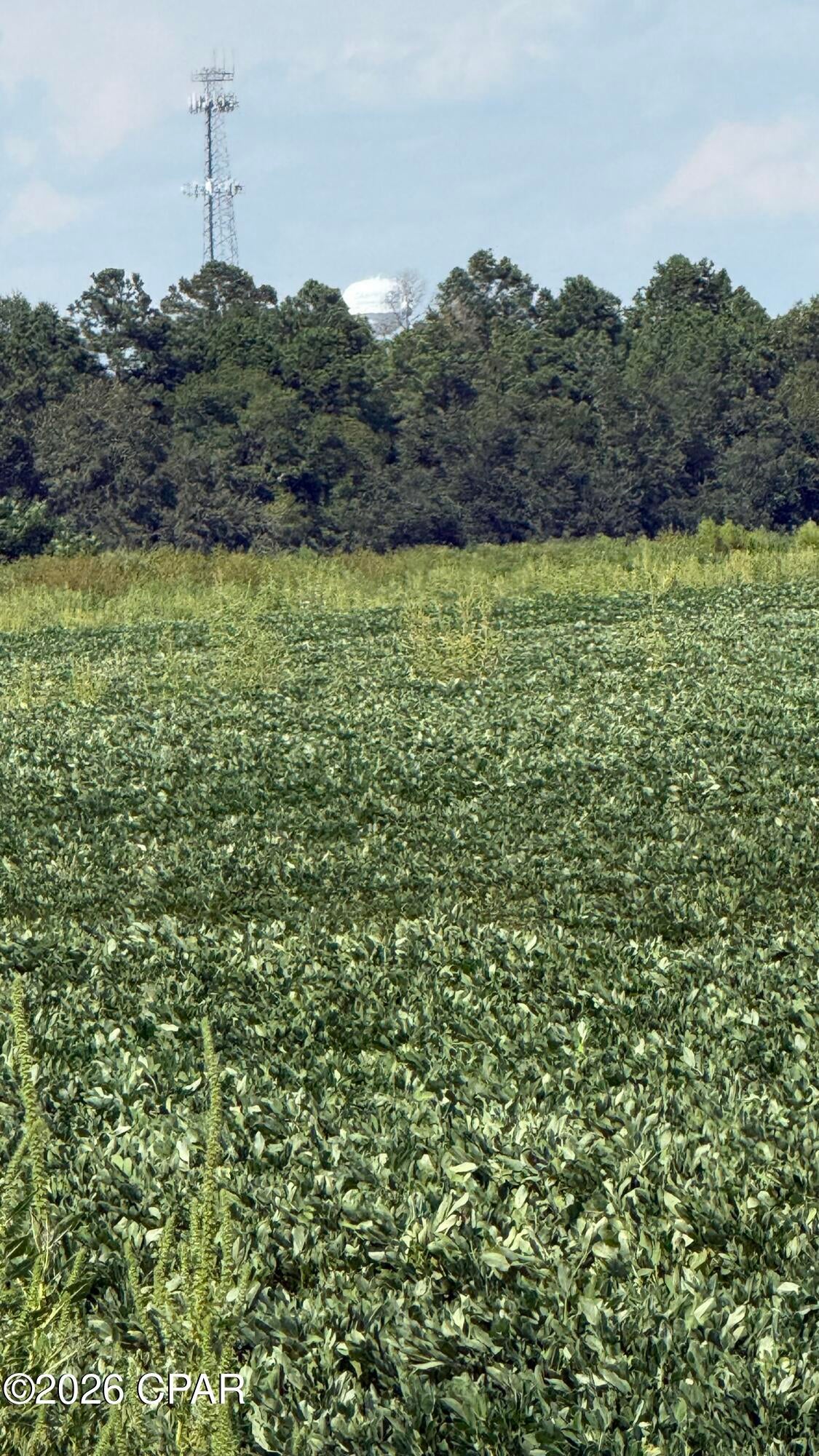 Unlock the potential of this prime farmland in Campbellton, FL, offering a wealth of opportunities for investors. Zoned Ag and strategically located, this parcel presents an ideal canvas for custom development plans, catering to a range of commercial concepts. Whether you are an owner-user, developer, or land banking strategist, the property's low-improvement status and flexible future use potential make it a compelling long-term hold opportunity. With minimal existing constraints and the potential for phased development strategies, this adaptable site invites investment-driven acquisition with the promise of tailored site planning. Don't miss the chance to capitalize on this versatile and lucrative investment prospect.