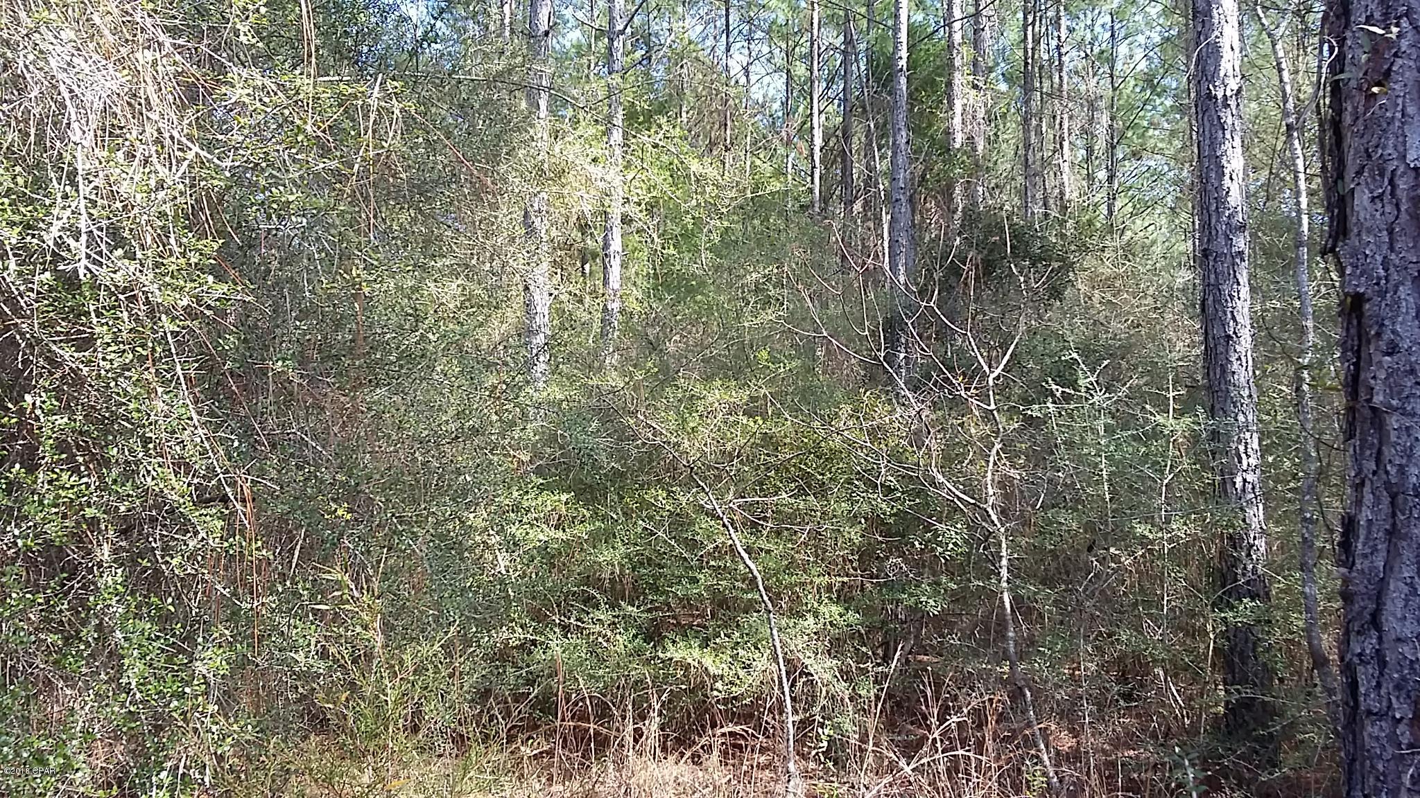 No Named Subdivision - Land