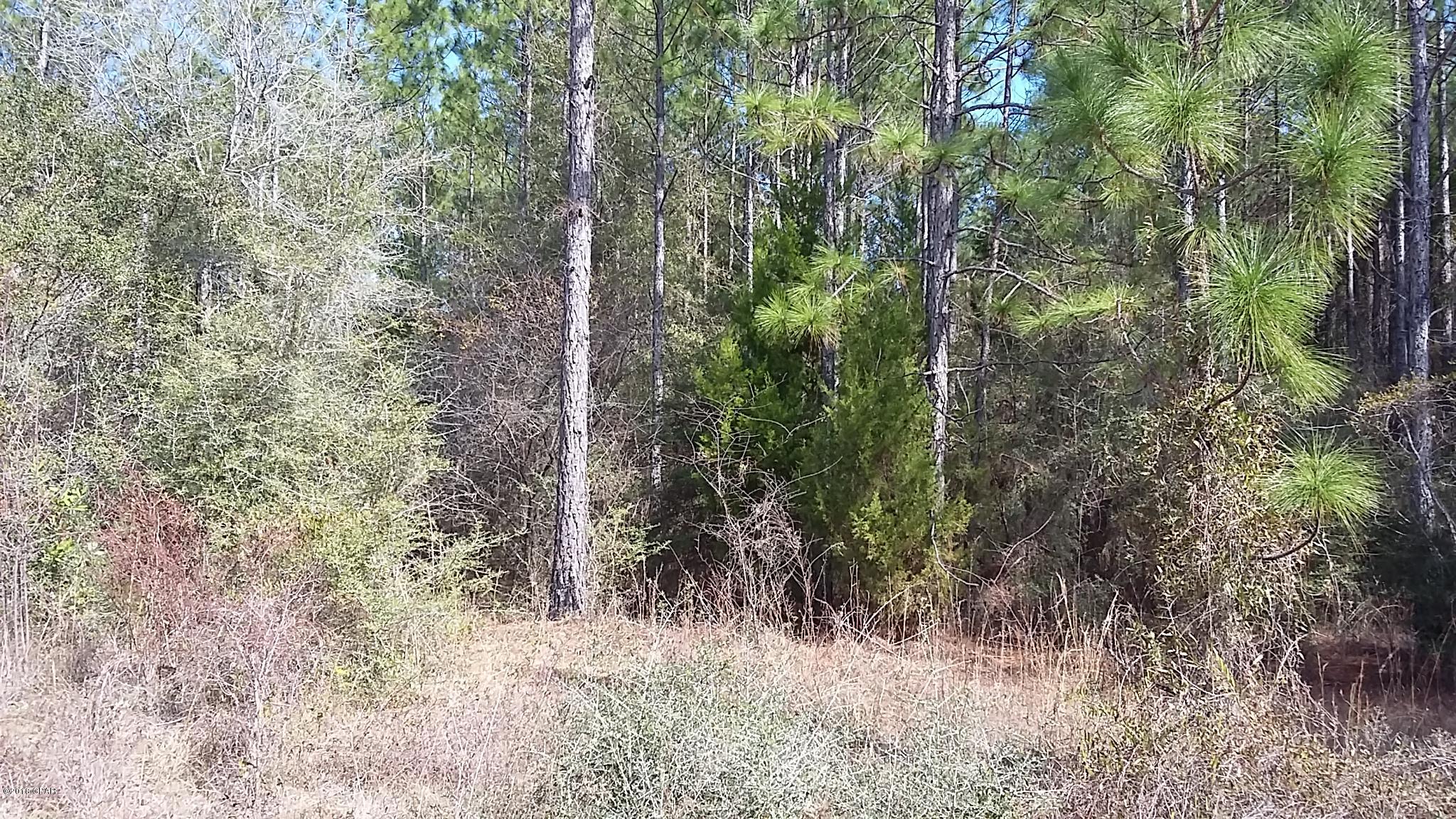 No Named Subdivision - Land