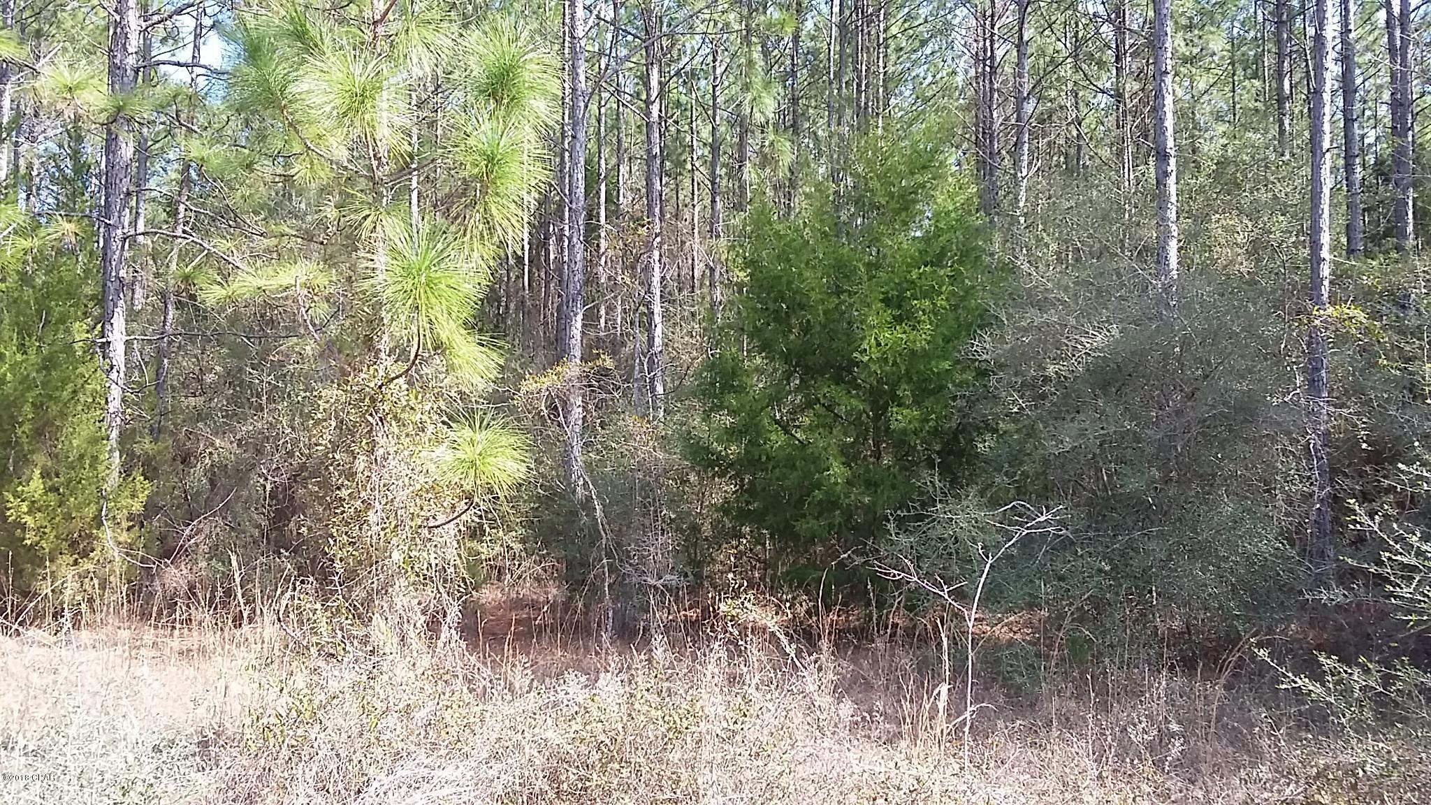 Unrestricted wooded 20-acre parcel just off Union Hill Road in Washington County, FL. Only 3-1/2 miles off Hwy 79 which is in the process of being 4-laned. There is no driveway however you can see a cleared area close to For Sale sign. Very wooded land with pines, oaks, cedars and a variety of other mature trees. In the Aerial you can see there's a Cypress Pond in the NW corner of the property. Provides lots of privacy for your home. Deer tracks all over the place. No restrictions so you can hunt your own property & mobile homes are acceptable. Very peaceful and quite location. Just 8 miles South of Interstate 10 in Bonifay. Convenient to Vernon, Chipley, Bay County Int'l Airport & Panama City Beach, FL.