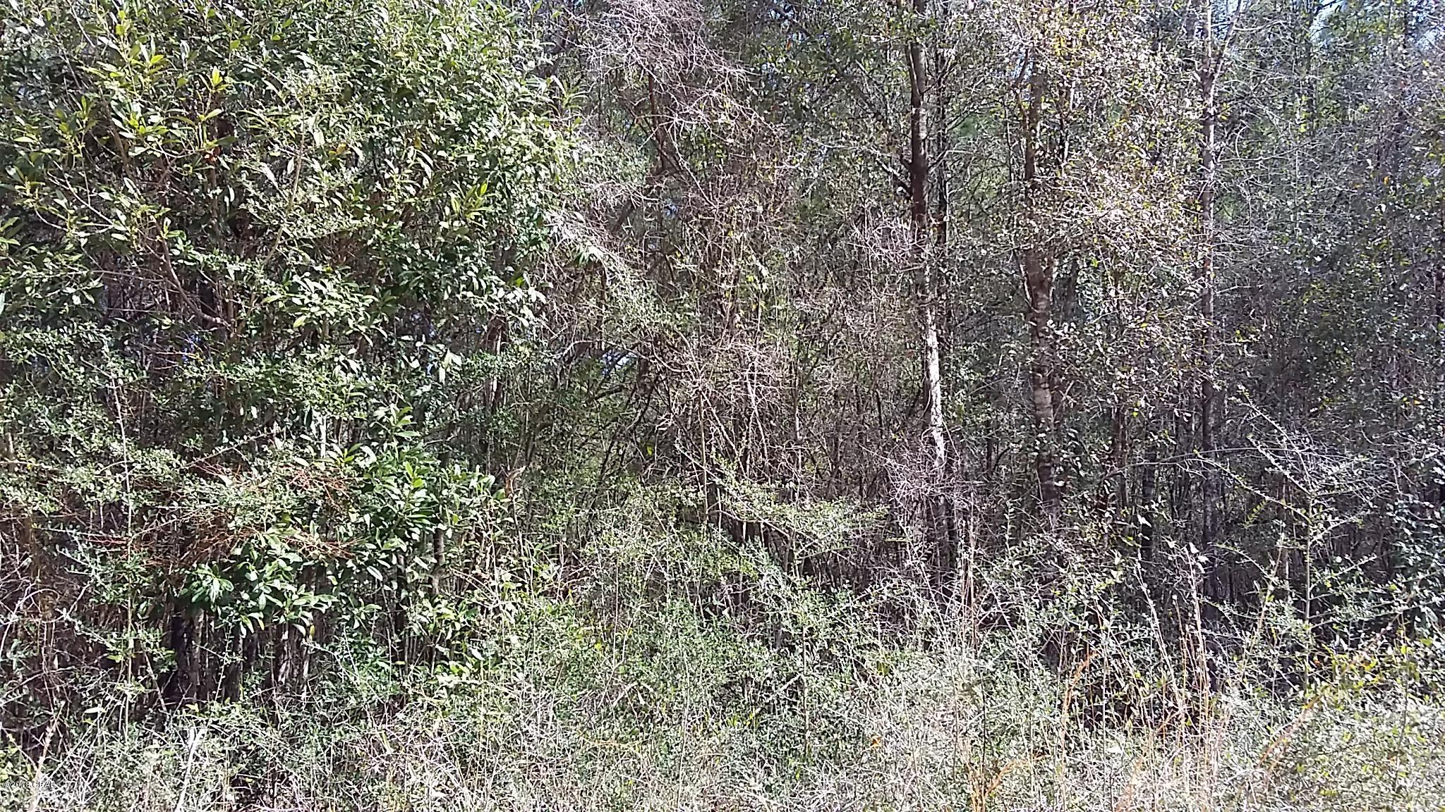 No Named Subdivision - Land