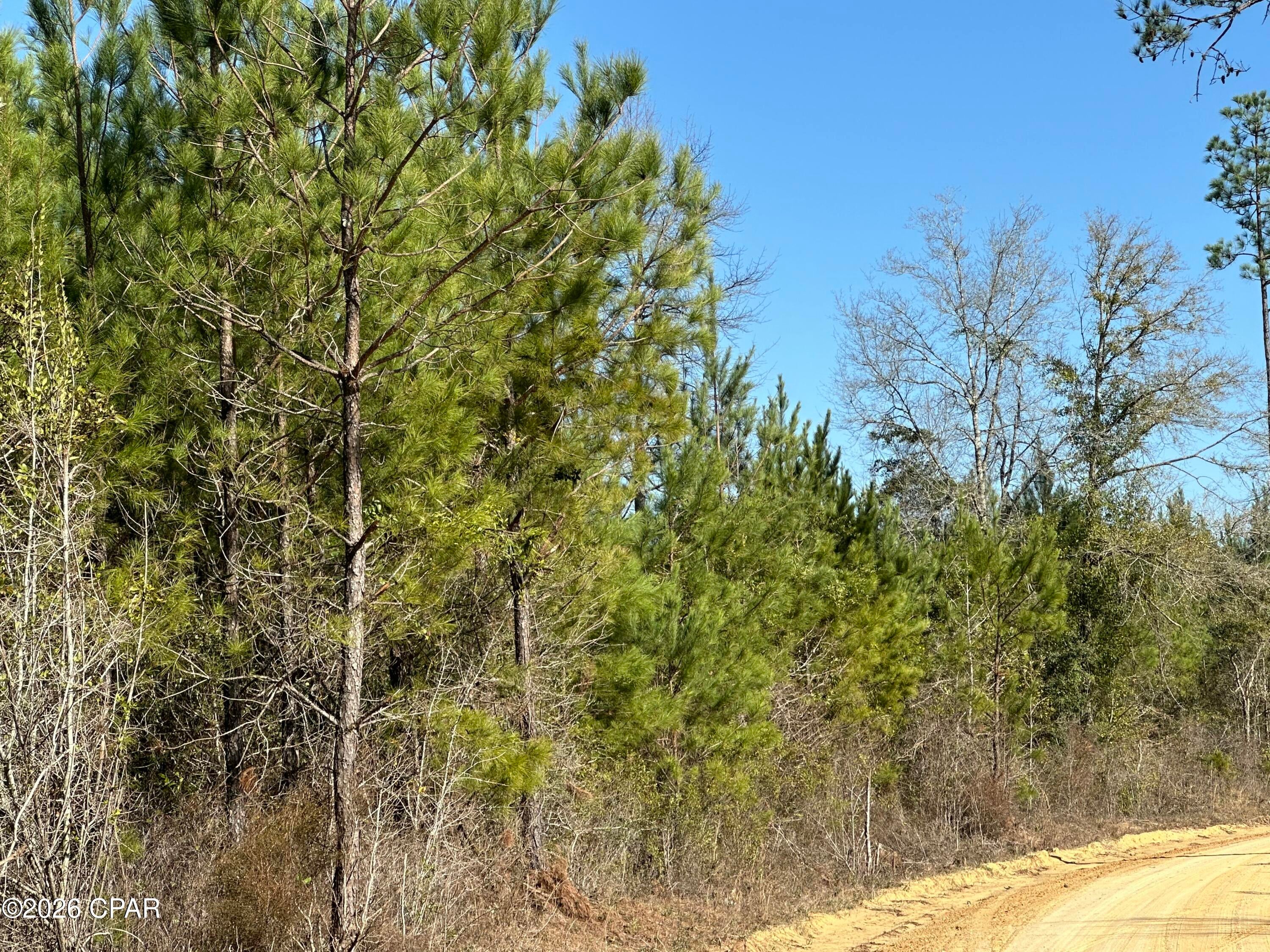 No Named Subdivision - Land