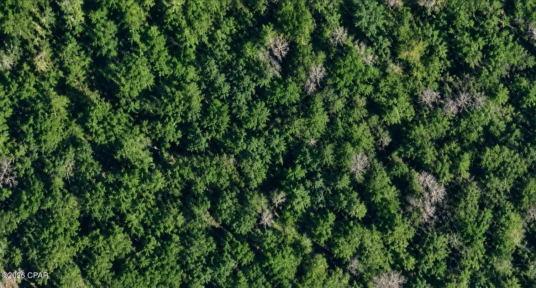 Discover the potential of Lot 18 on Kingway Ct in Chipley, FL. This spacious property spans over half an acre, offering 0.563 acres of land waiting for your vision. Many quarter-acre lots in the area being marketed  Whether you're considering building your dream home or investing in land, this lot provides ample space to let your imagination take flight. Located in a serene area, it accords a peaceful retreat while still being accessible to the amenities of Chipley. The generous size of the lot allows for a variety of possibilities, giving you the freedom to design a space that suits your needs and desires. Embrace the opportunity to create a personalized haven or explore other uses that this expansive lot can accommodate. With its size and location, Lot 18 Kingway Ct presents a prime opportunity for those looking to invest in a piece of Chipley's r eal estate landscape.