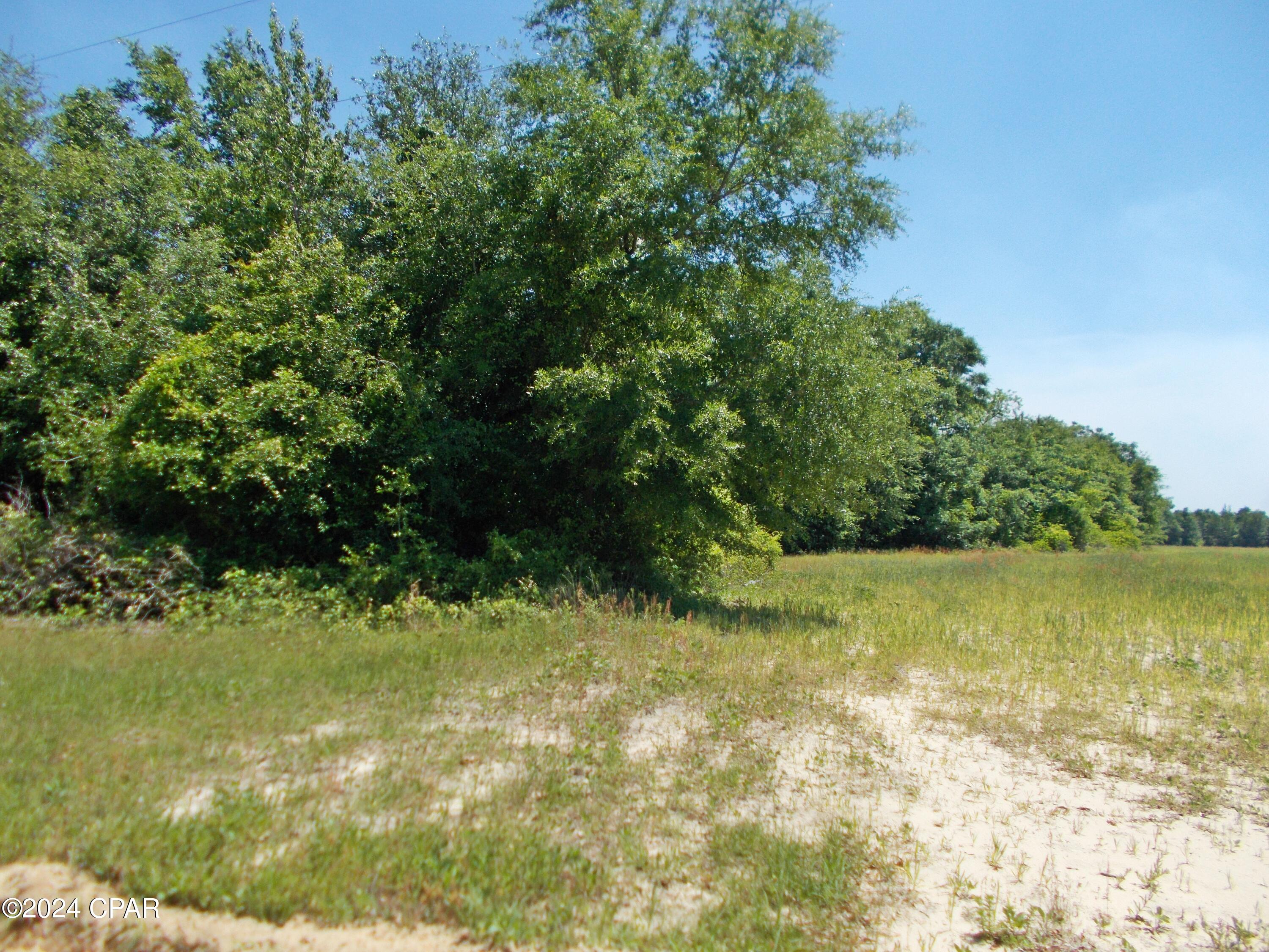 Beautiful corner lot in the country this property has some nice live oaks with numerous spots for you home also some farmland for your animals or a nice garden, There is additional acreage available if you need it. Very quiet and rural spot for a mobile home. 
The seller will do owner  financing with very little down and reasonable monthly payments.