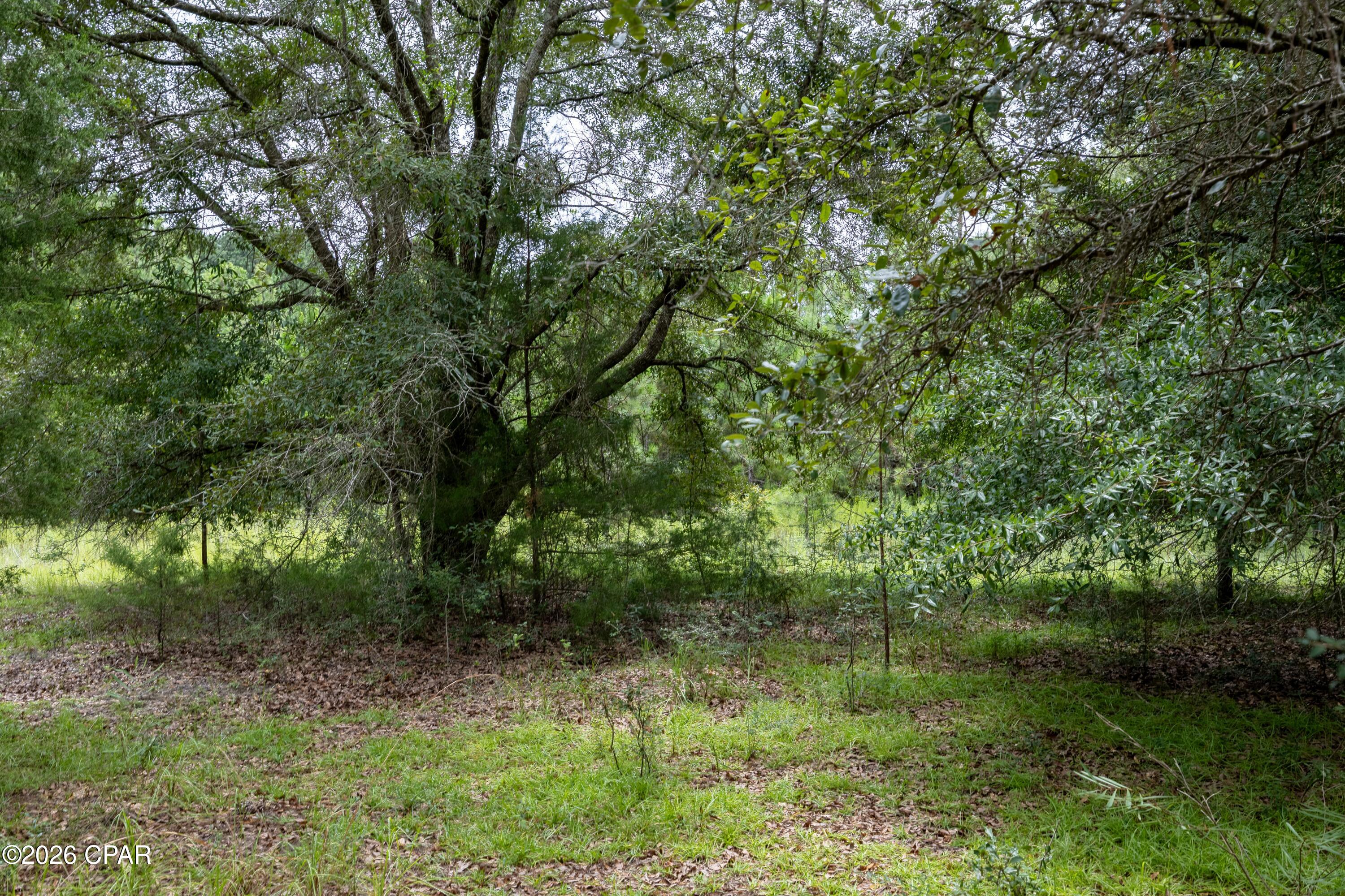 [No Recorded Subdiv] - Land