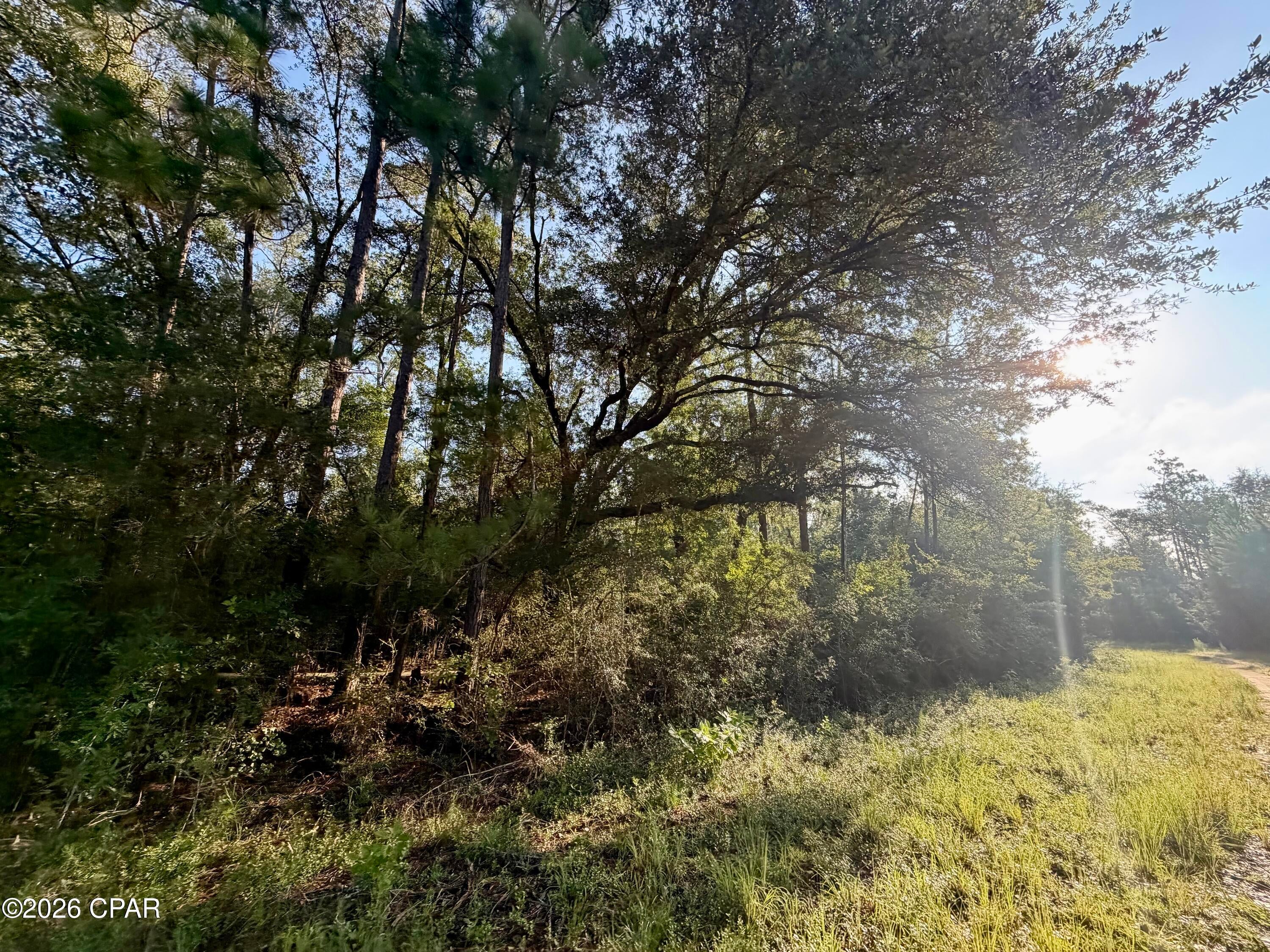 Compass Lake Hills Unit 2 - Land