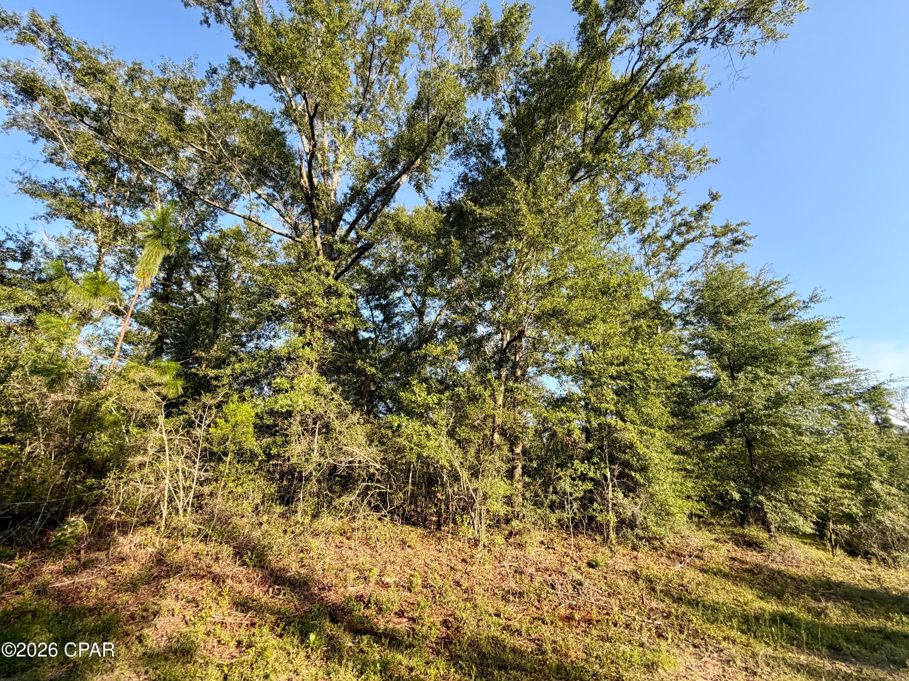 If you're looking for a large lot in Compass Lake in the Hills, this is it!  1.9 acres located on a quiet road!!  With a lot of road frontage, I can see your new mobile home or site built home sitting on this lot with a circle drive!  There is a voluntary POA that's $135 annually. Amenities include a community pool, cabins, RV park, tennis courts, community center, etc.