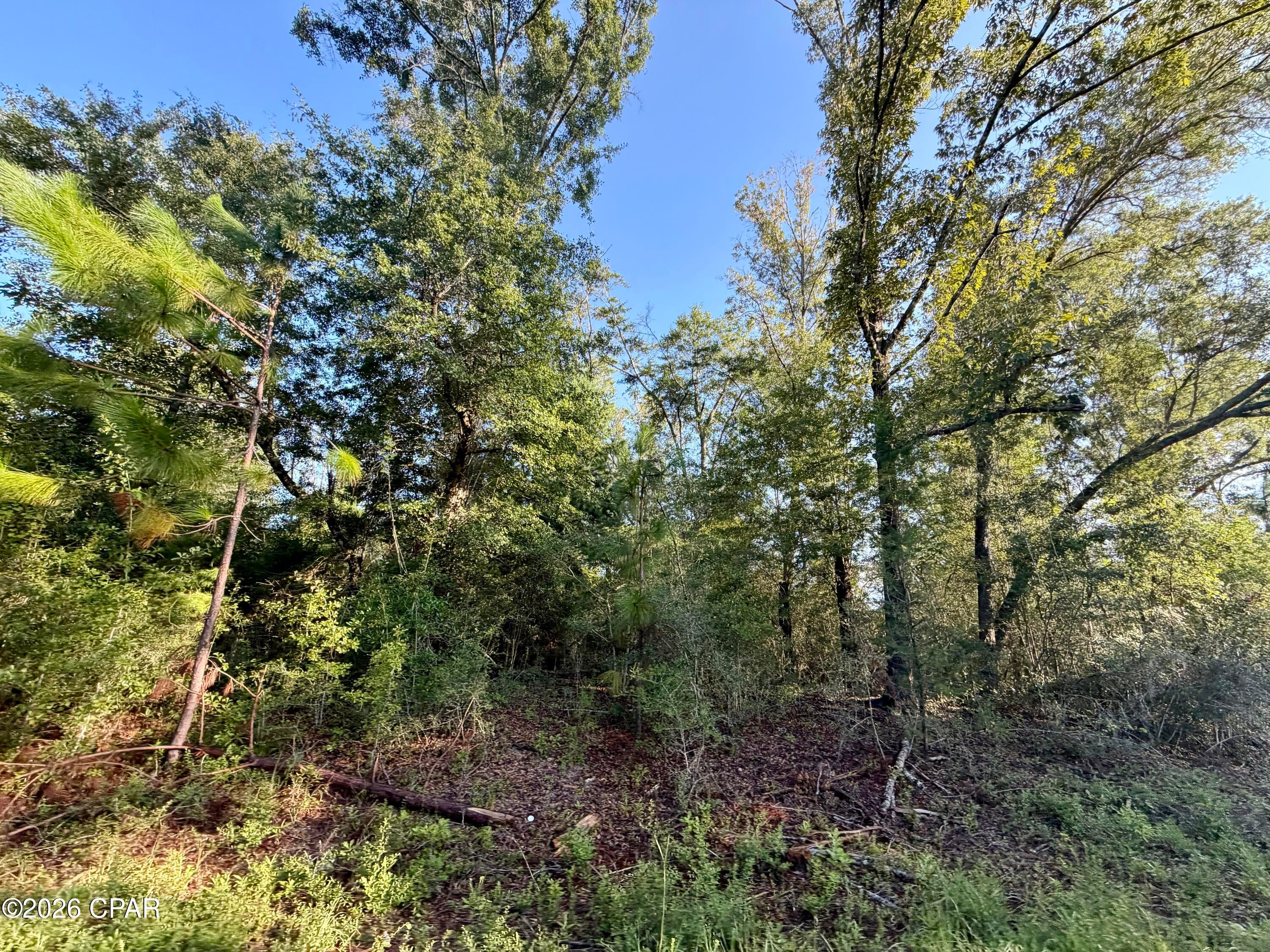 Compass Lake Hills Unit 2 - Land