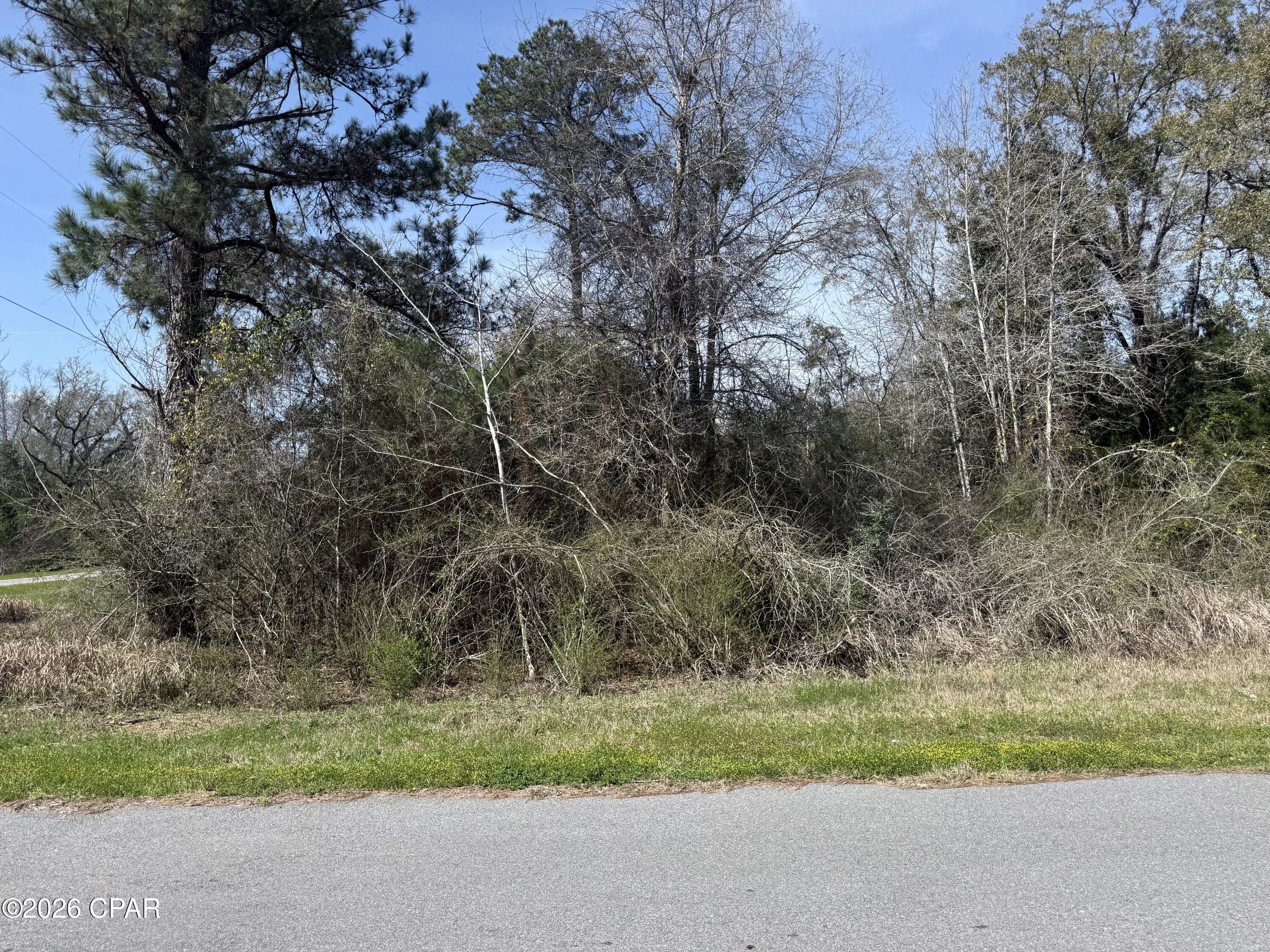 Very Nice Tract of Land Close to Town on the Corner of Kynesville Hwy and New Salem Rd which are both paved roads.  This tract is about 46 MOL acres cut out  of larger tract so will need a survey.