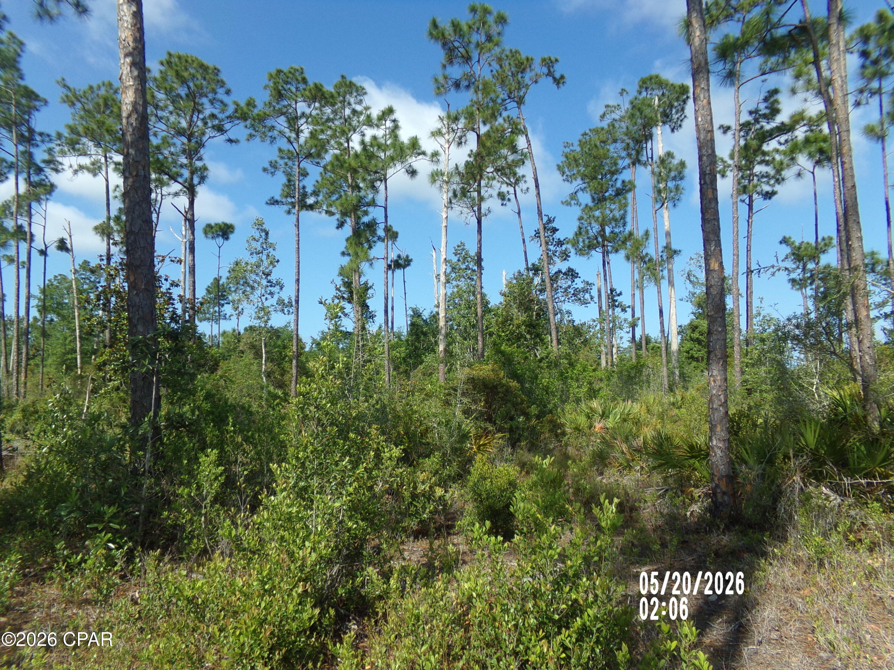 Wildwood Estates - Land