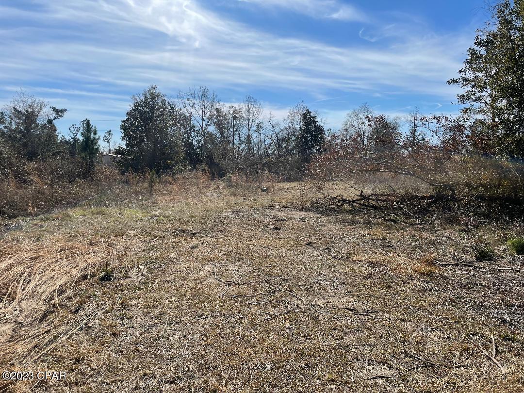 Beautiful mostly cleared lots in Calhoun County, Florida. This listing includes three different parcels and five different lots in the Lake Center Subdivision totaling almost half an acre! Check it out while it lasts!