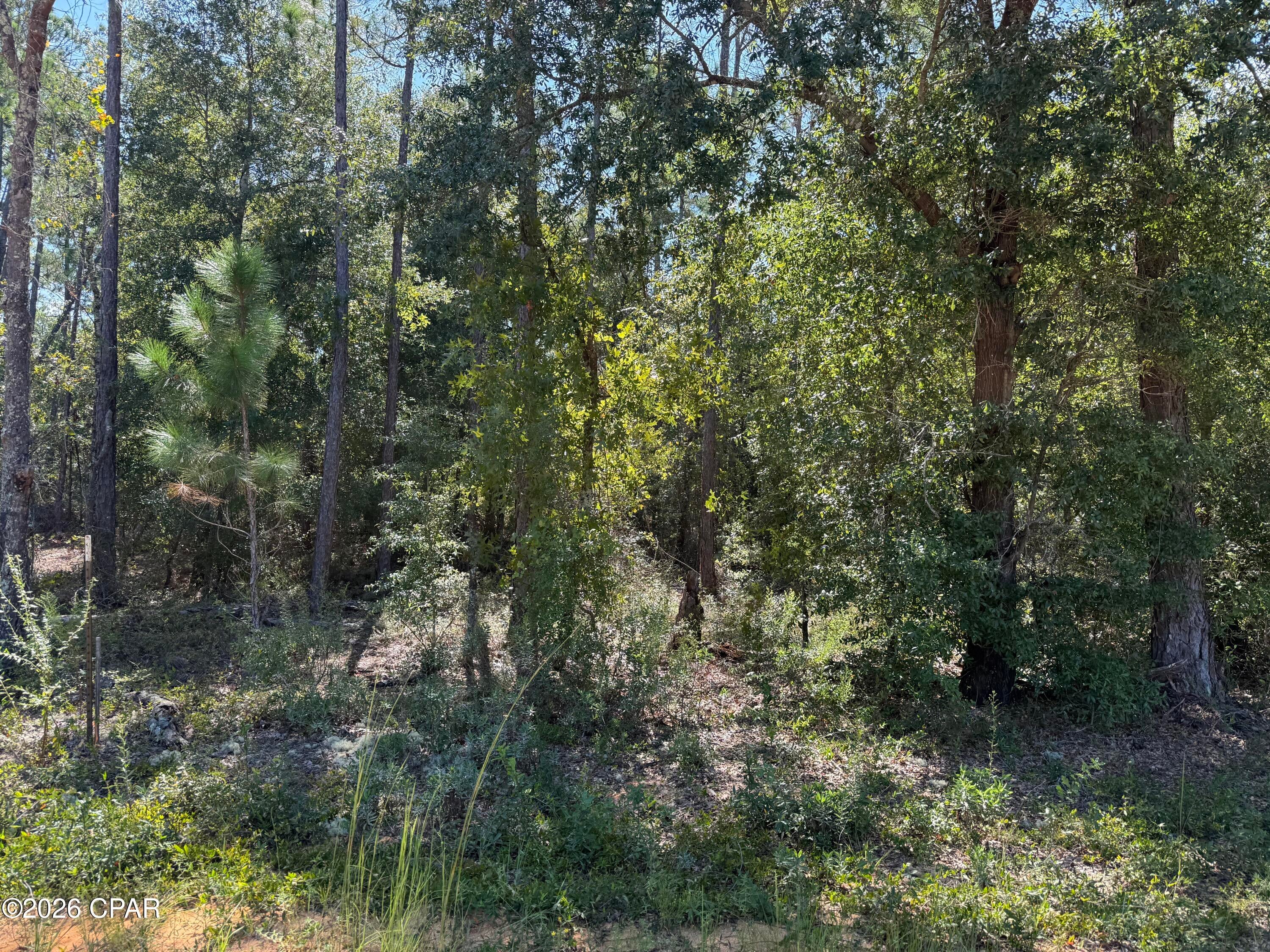 Nice lot in the Compass Lake in the Hills area.  Just the right size for your new home and excellent location near Lake McCormick for good fishing, swimming, picnicking, pristine lake with no gasoline motors allowed. Just electric or paddling boats. There is a Volunteer Property Owner Assoc. with low rates for use of the POA's lake and other privileges. but is not required to own a lot.  Quiet area and very desirable.  Approx 50 Min to Panama City Fl and approx 15 Min to I-10 and approx 17 min to Marianna Fl. All 4 corners are marked and Electric Line for service about 500 ft away.