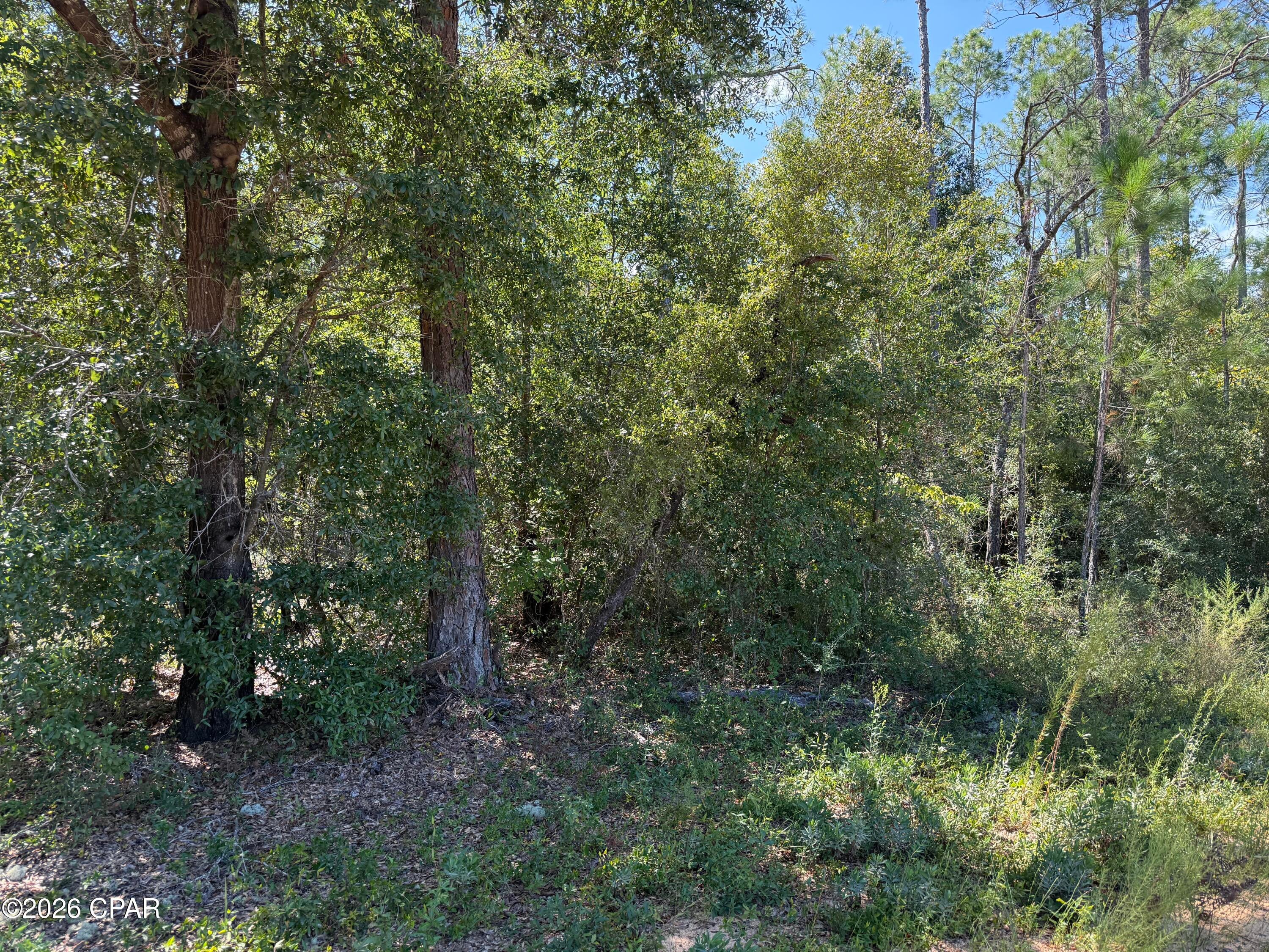 Compass Lake Hills Unit 5 - Land