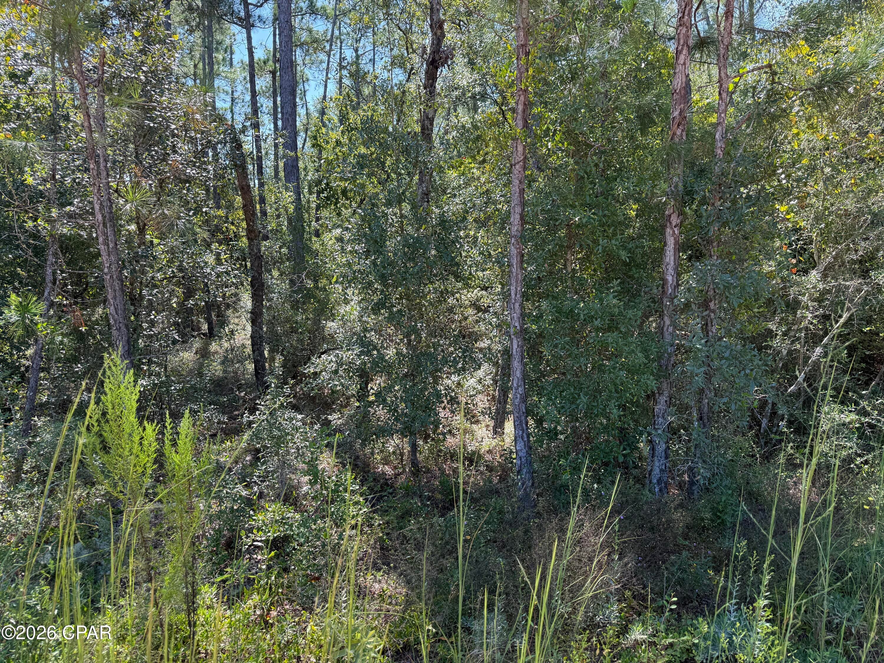 Compass Lake Hills Unit 5 - Land