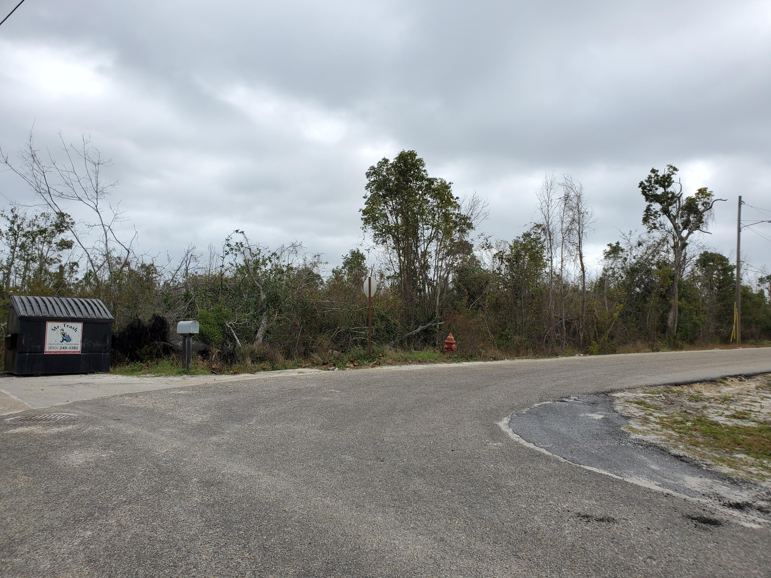 Raw vacant wooded parcel almost 1/2 acre within close proximity to Wal-Mart, restaurants, etc.  Probate is complete.  Priced for clean quick cash sale